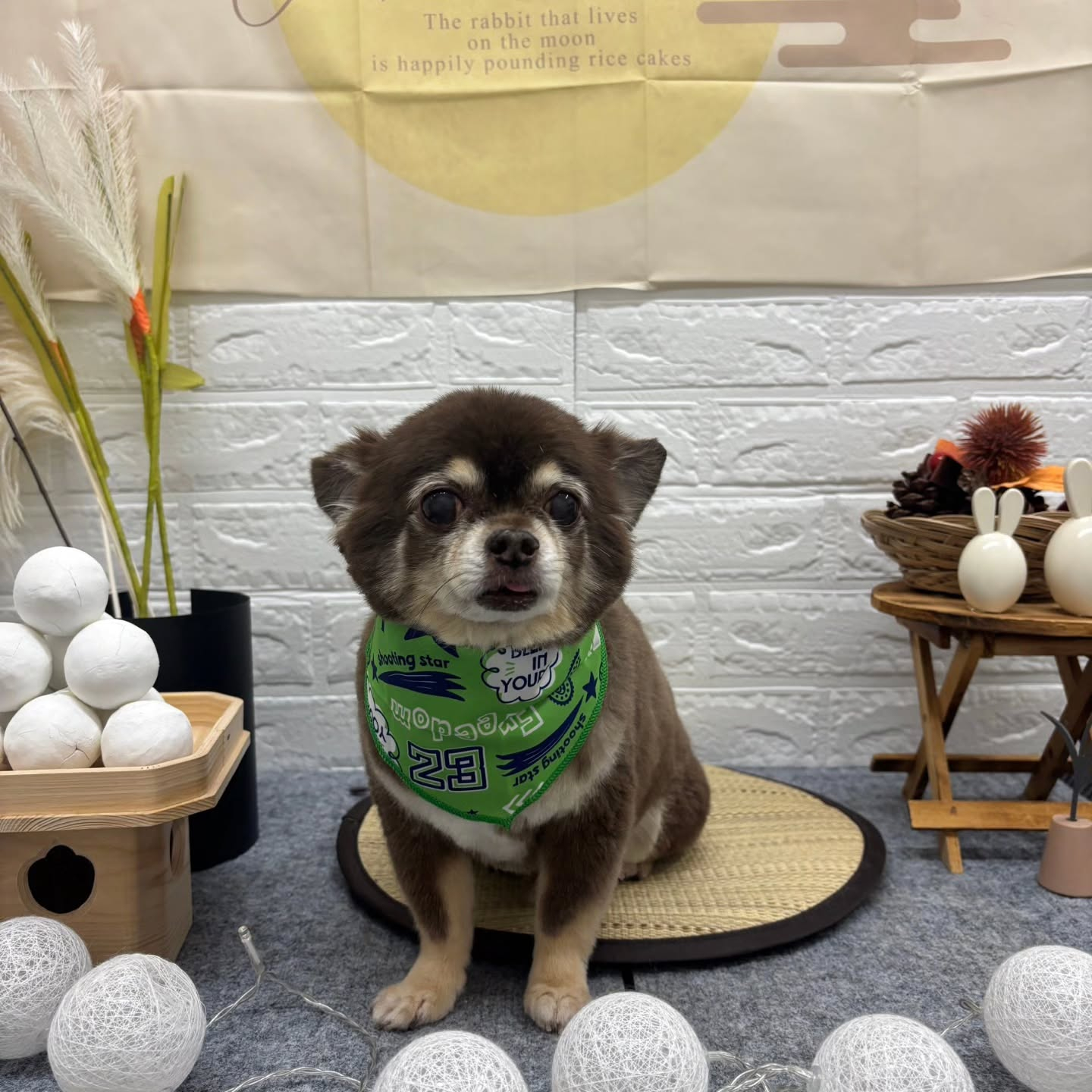 🌾🌾🌾🌾🌾🌾🌾🌾