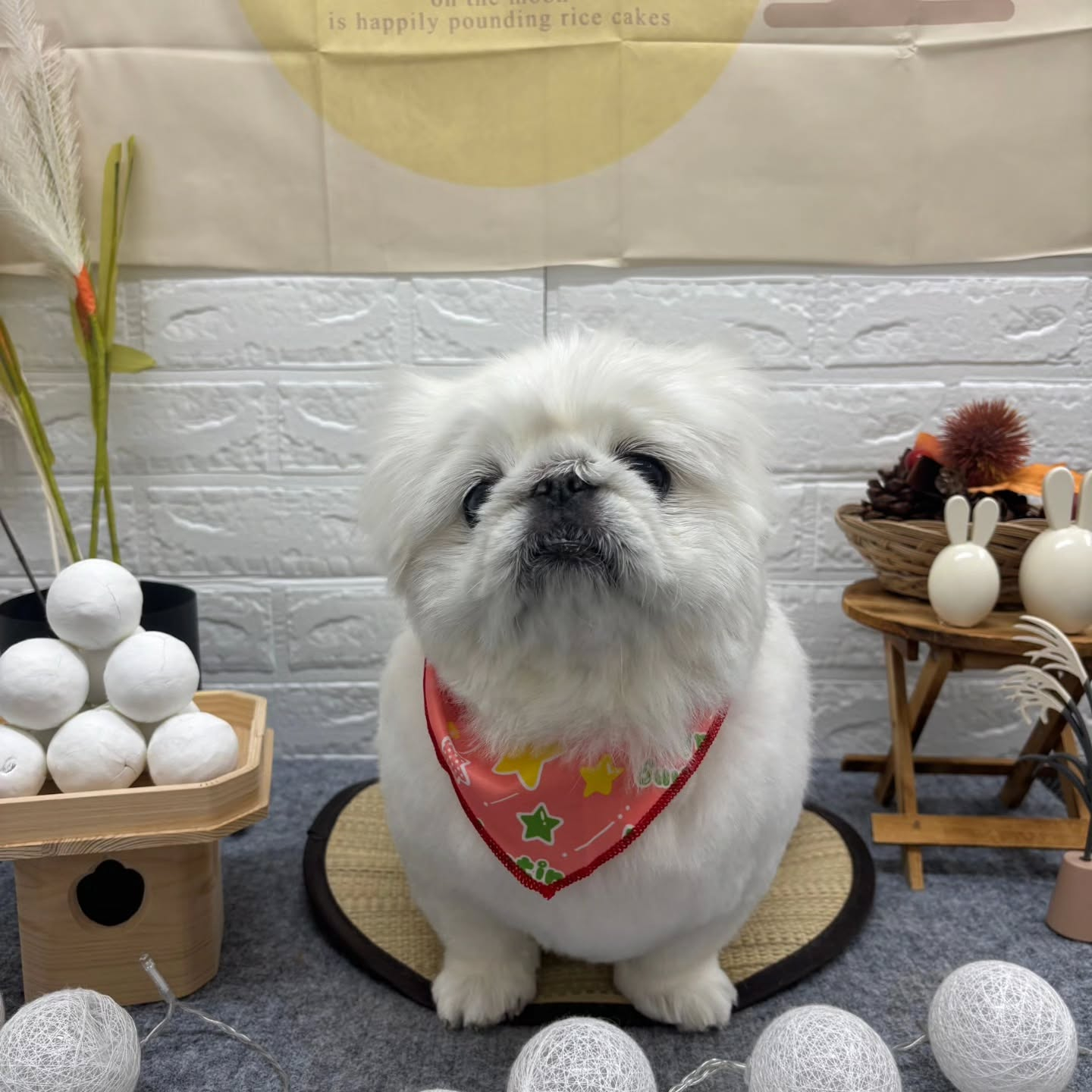 🌝🌝🌝🌝🌝🌝🌝