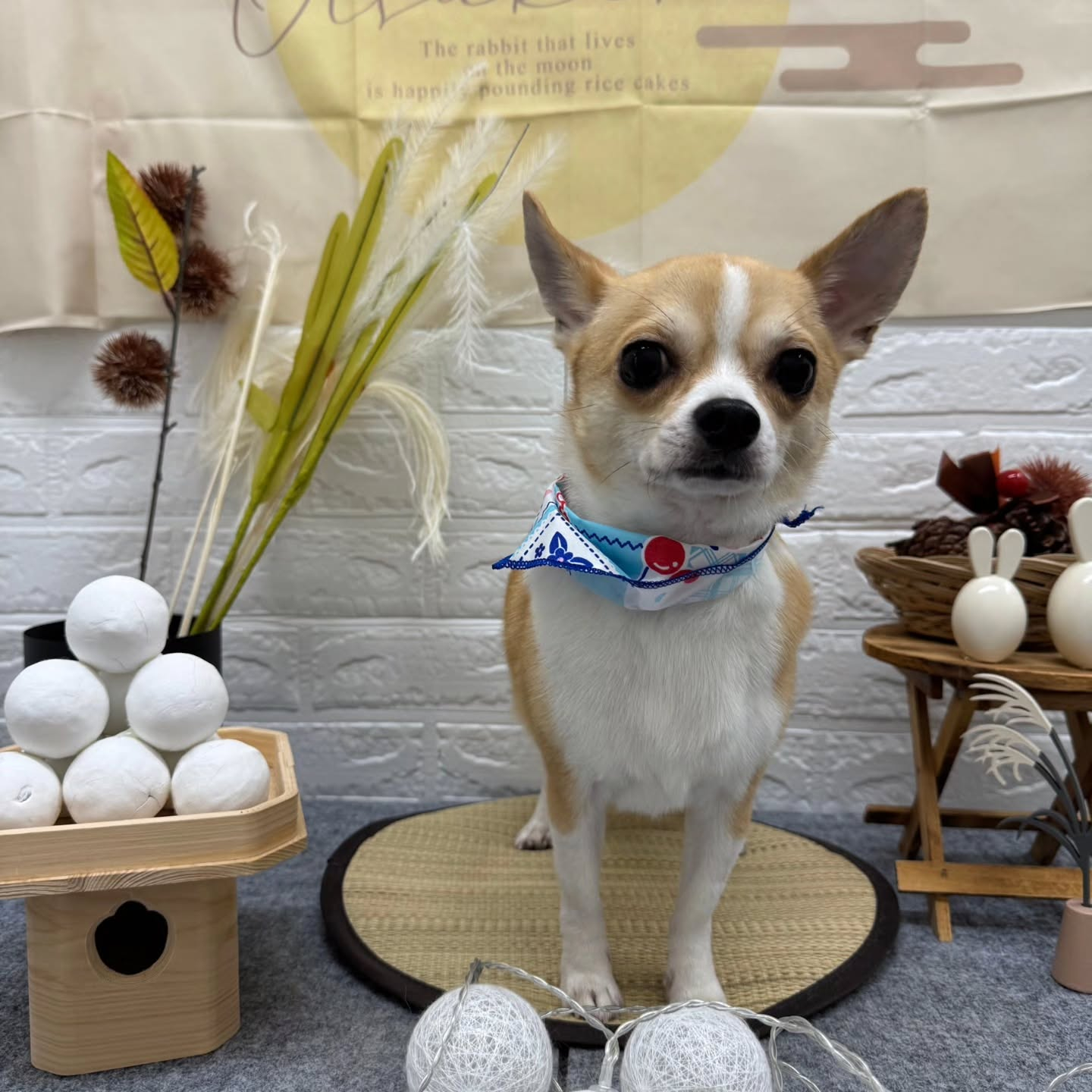 🌝🌝🌝🌝🌝🌝🌝