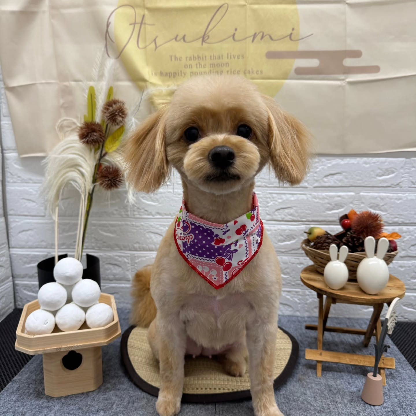 🌝🌝🌝🌝🌝🌝🌝