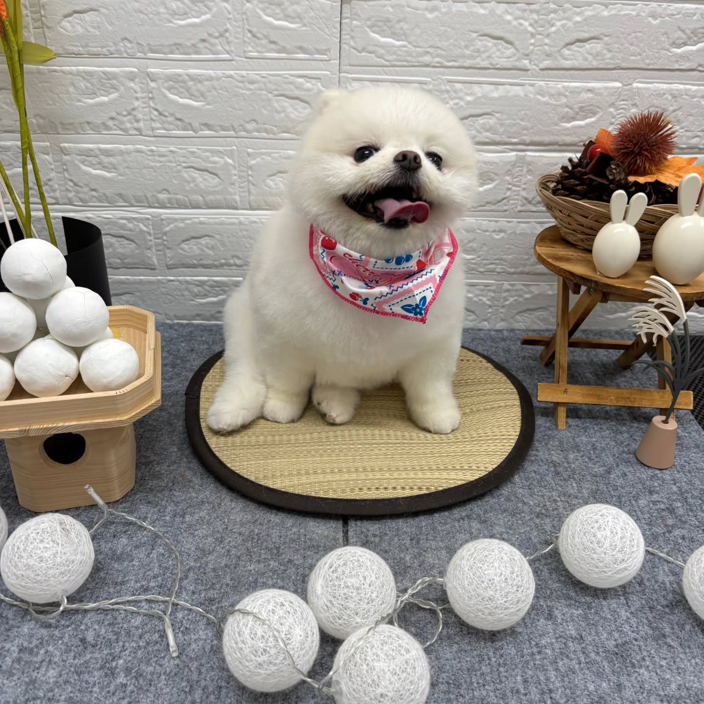 🌝🌝🌝🌝🌝🌝🌝