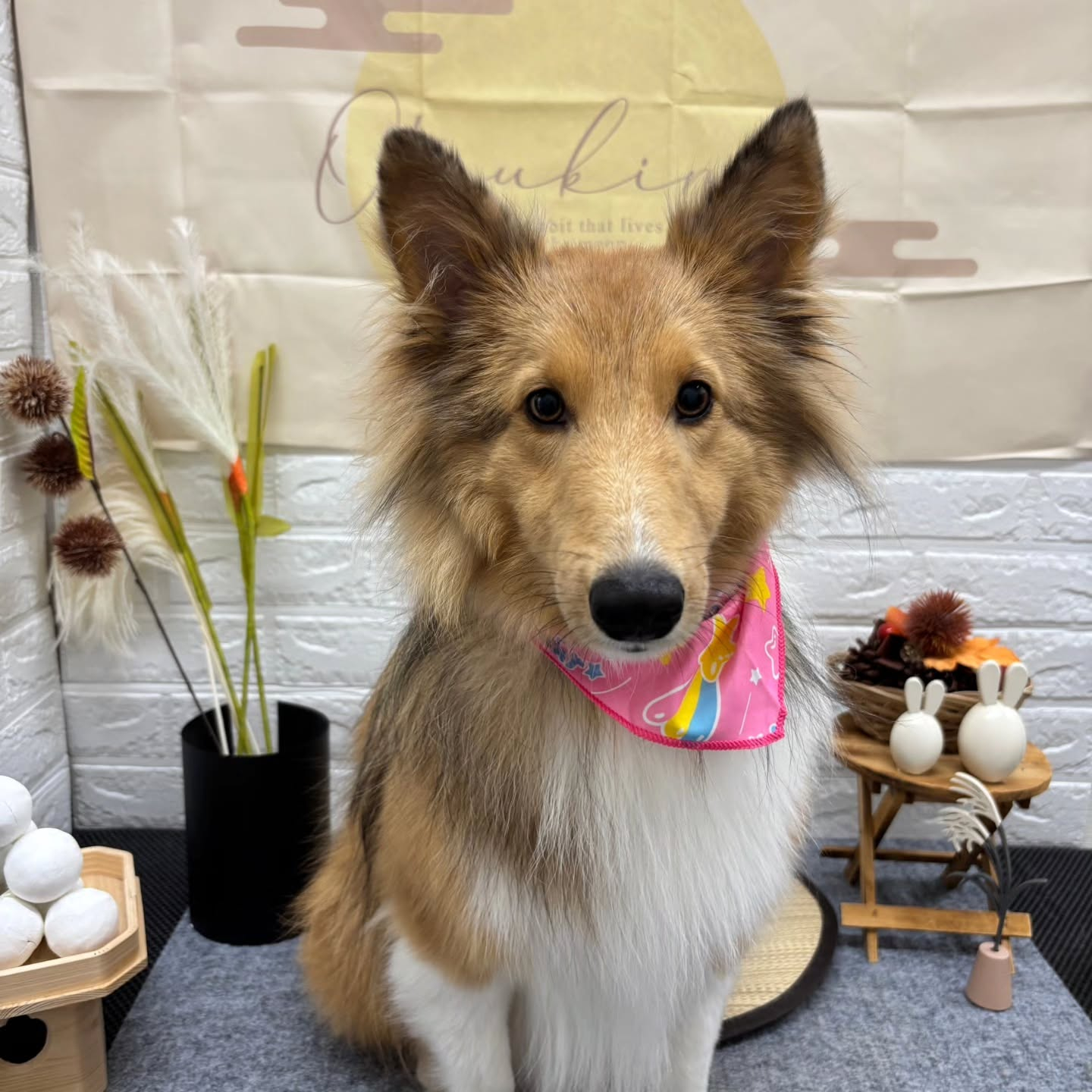 🌝🌝🌝🌝🌝🌝🌝