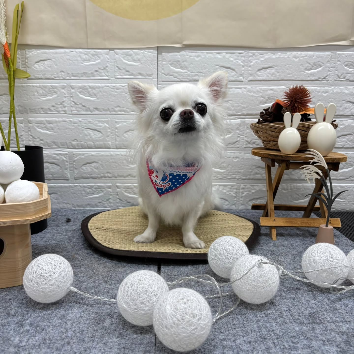 🌝🌝🌝🌝🌝🌝🌝