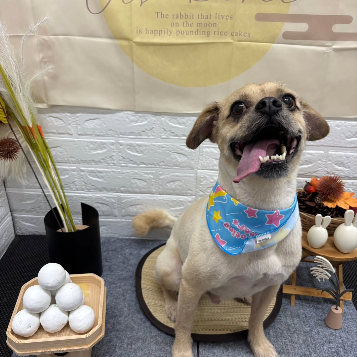 🌝🌝🌝🌝🌝🌝🌝