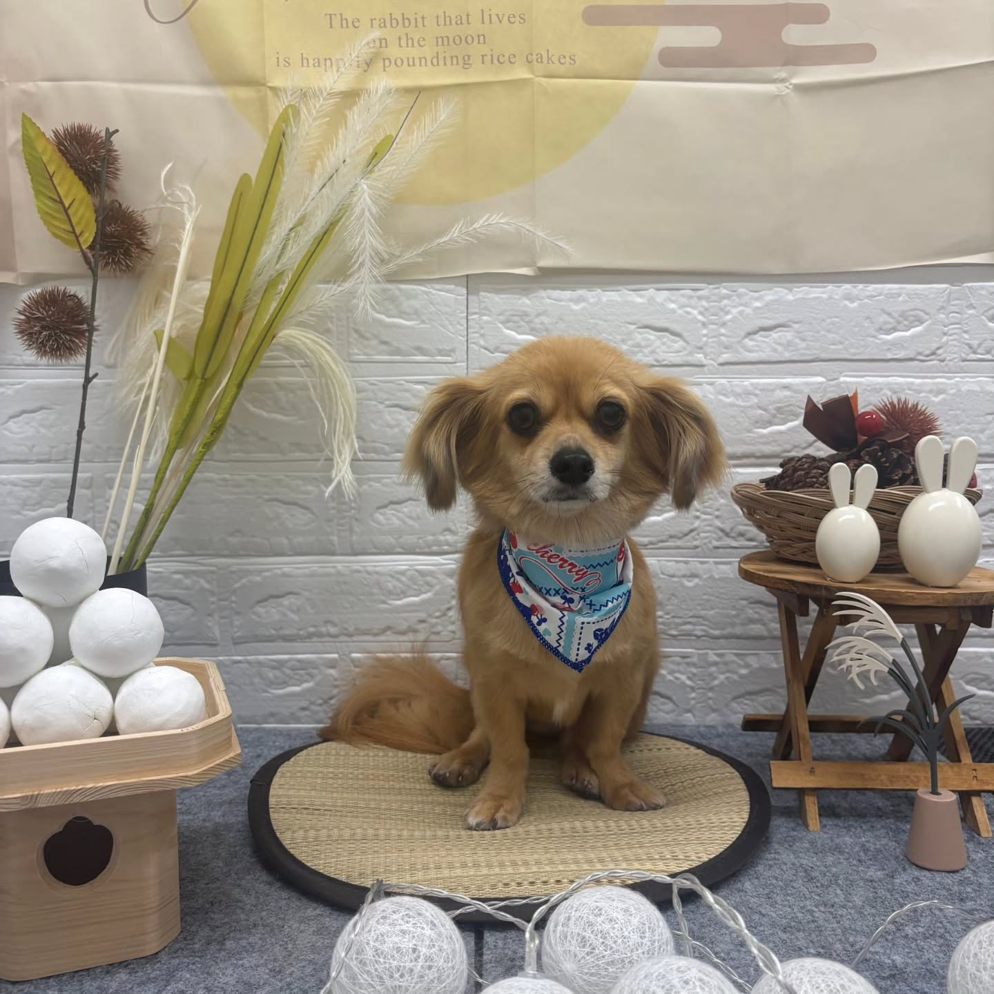 🌝🌝🌝🌝🌝🌝🌝