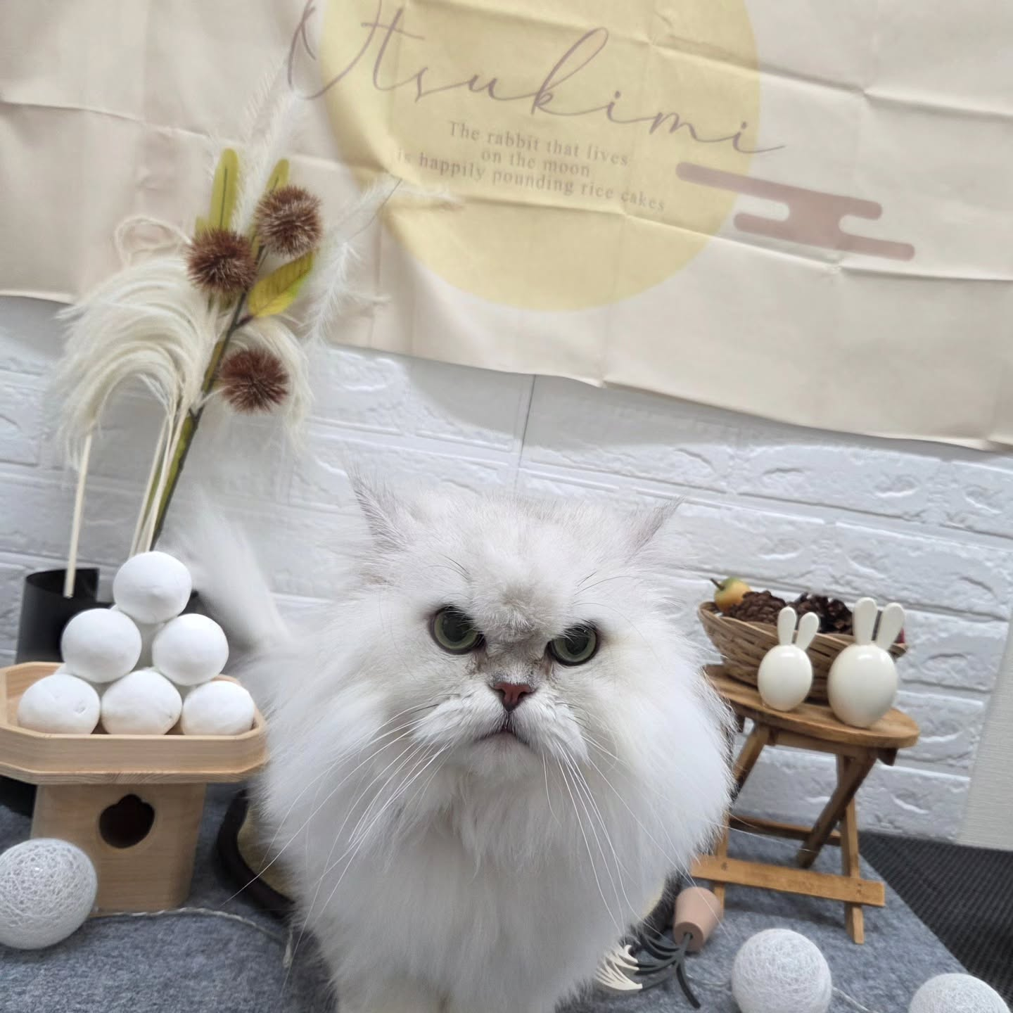 🌝🌝🌝🌝🌝🌝🌝