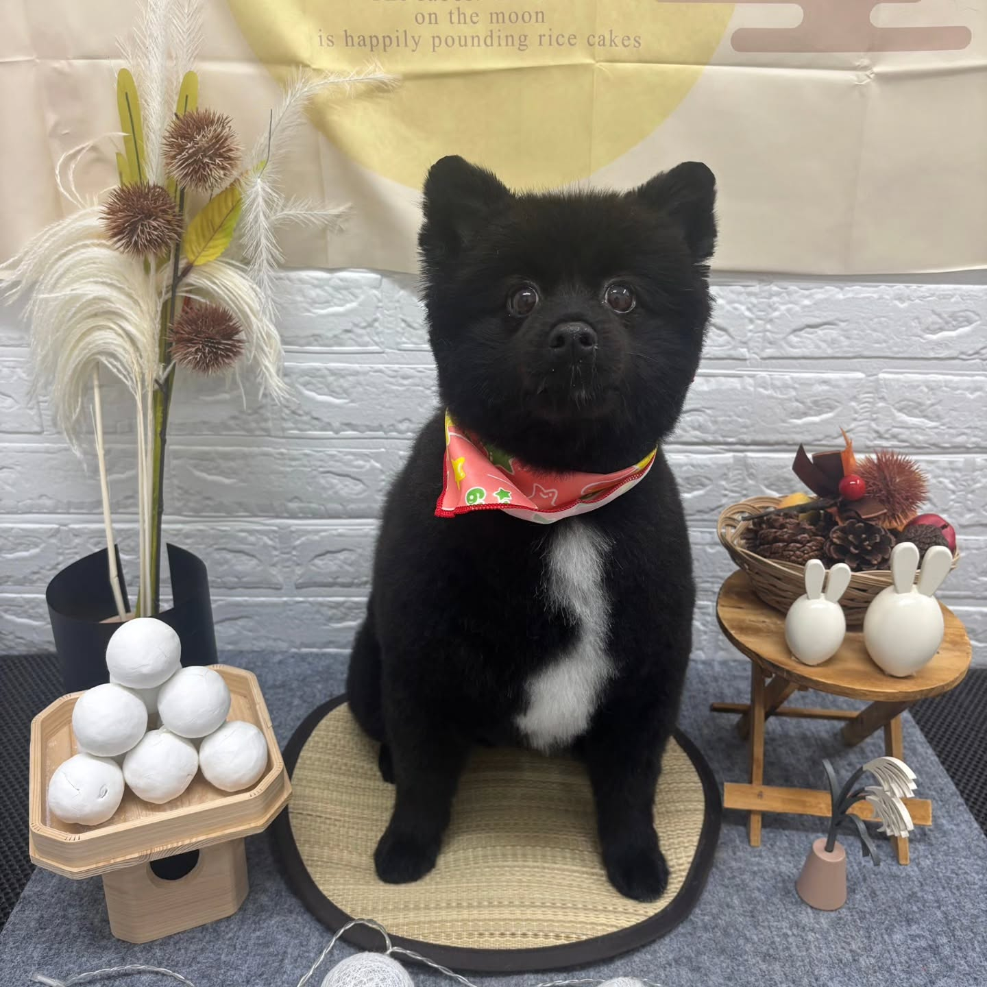 🌝🌝🌝🌝🌝🌝🌝