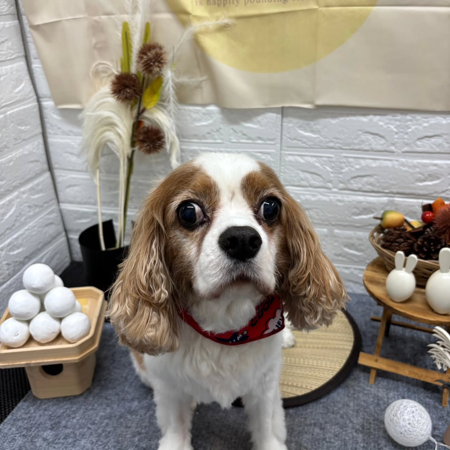 🌝🌝🌝🌝🌝🌝🌝