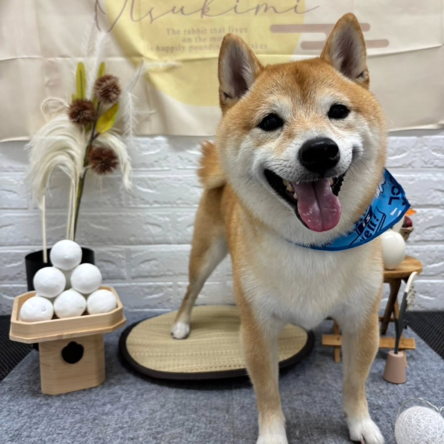 🌝🌝🌝🌝🌝🌝🌝🌝