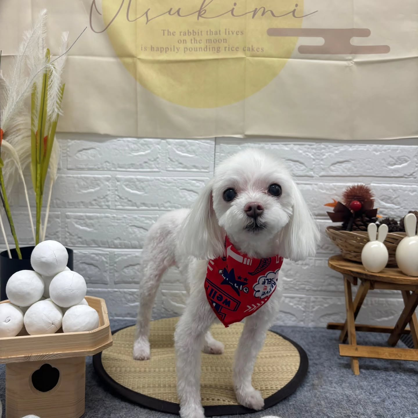 🌝🌝🌝🌝🌝🌝🌝🌝