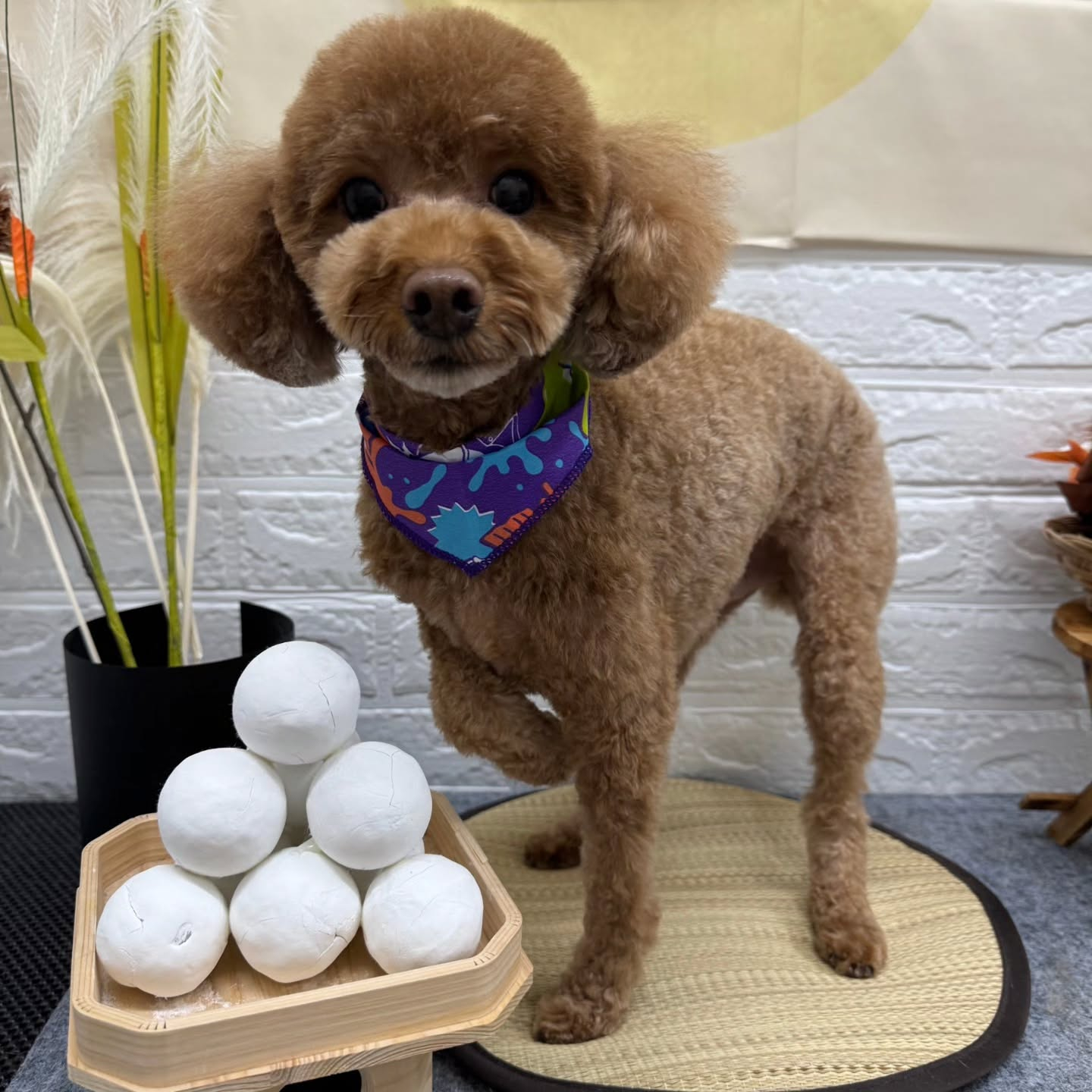 🌝🌝🌝🌝🌝🌝🌝🌝