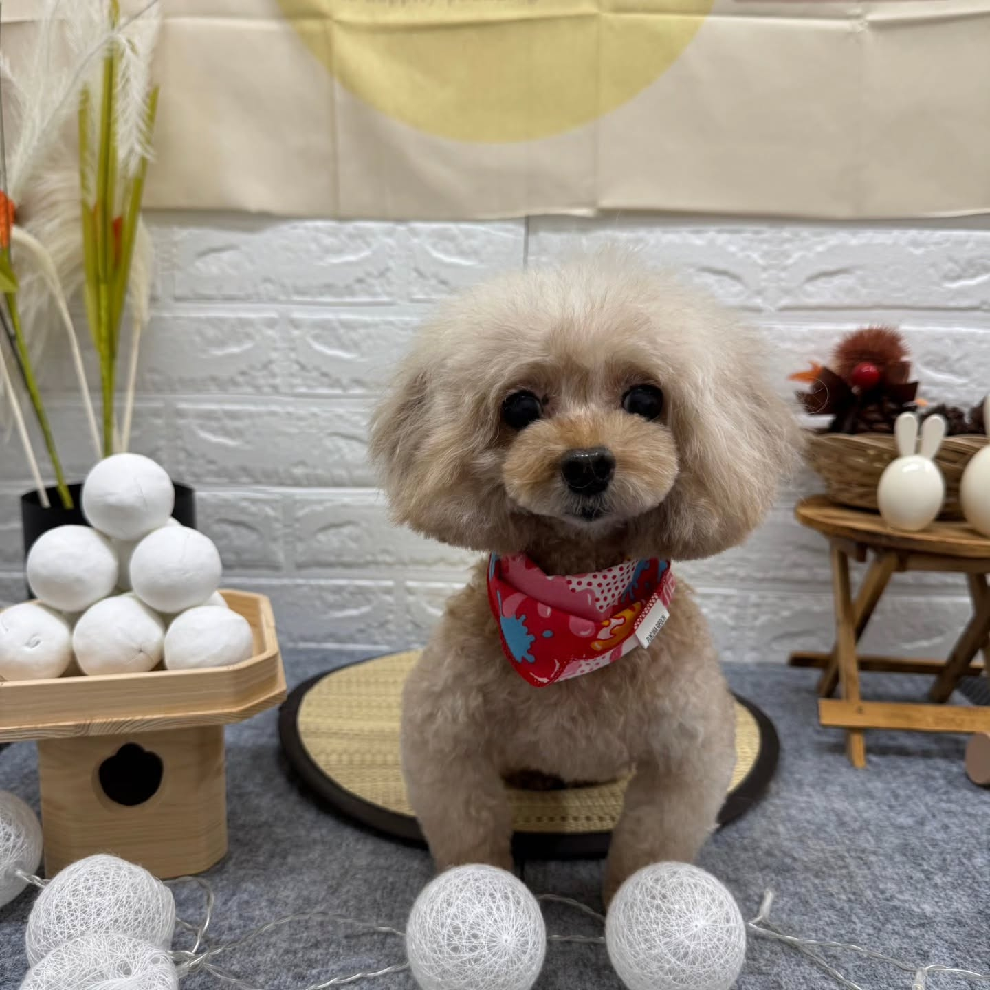 🌝🌝🌝🌝🌝🌝🌝🌝