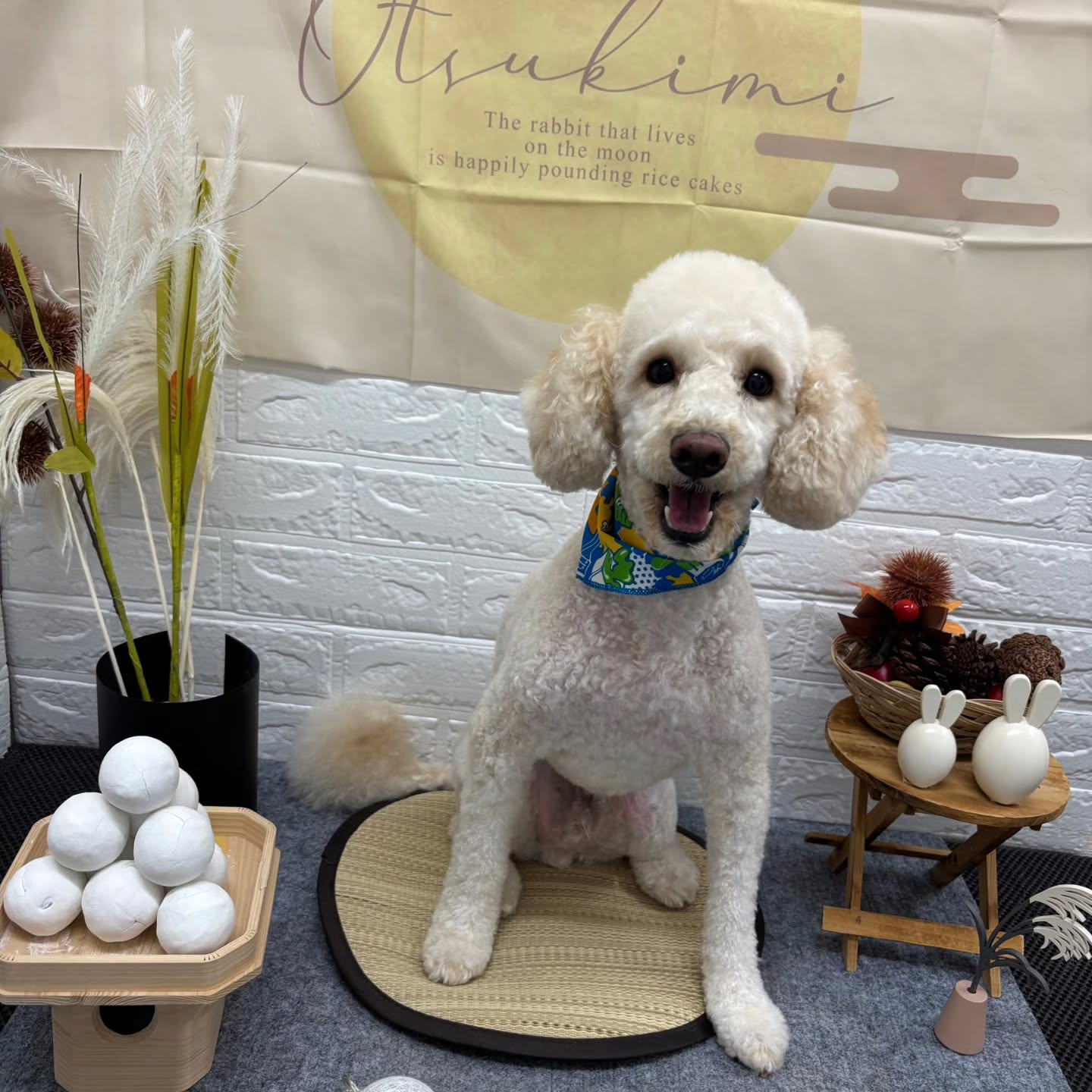 🌝🌝🌝🌝🌝🌝🌝🌝