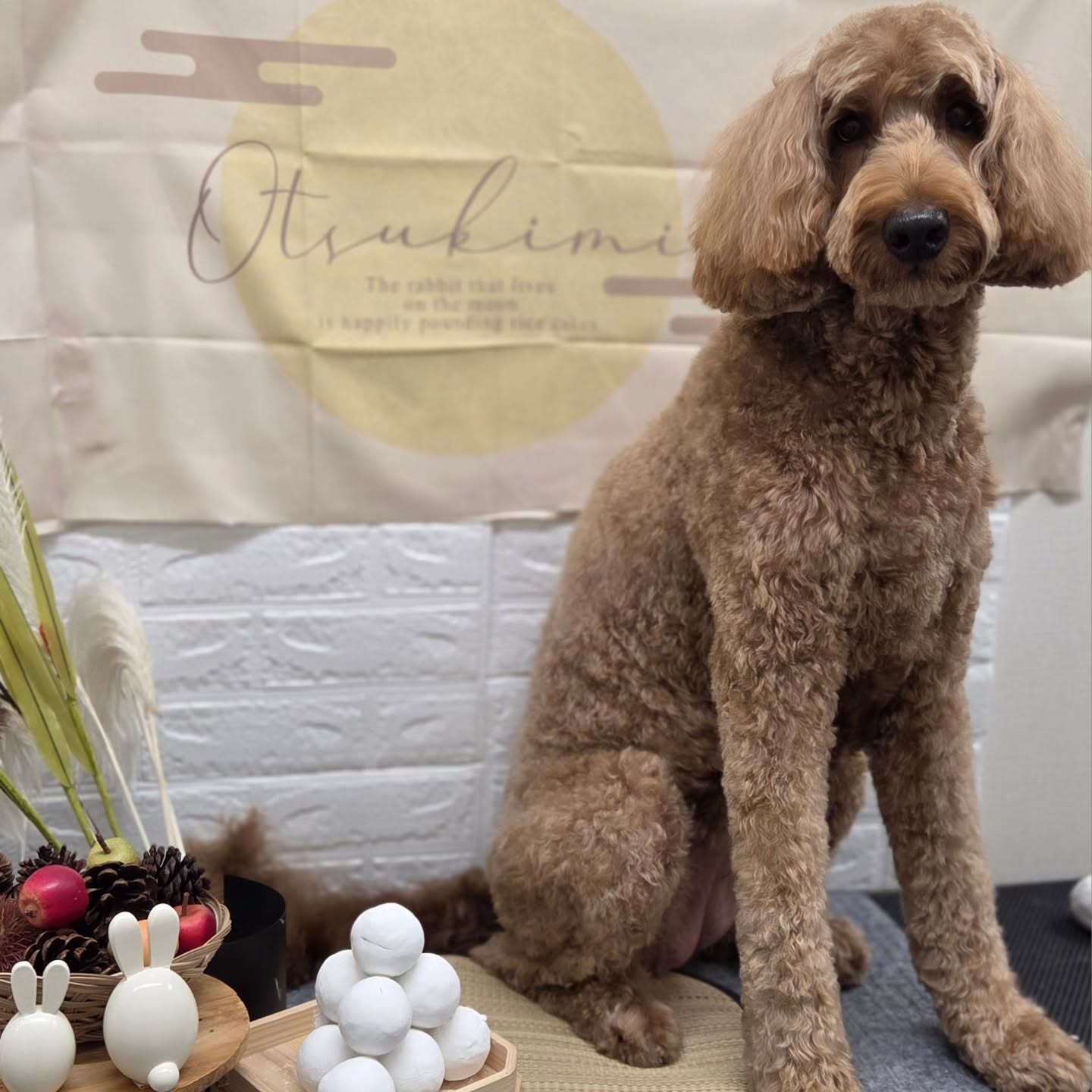 🌝🌝🌝🌝🌝🌝🌝🌝