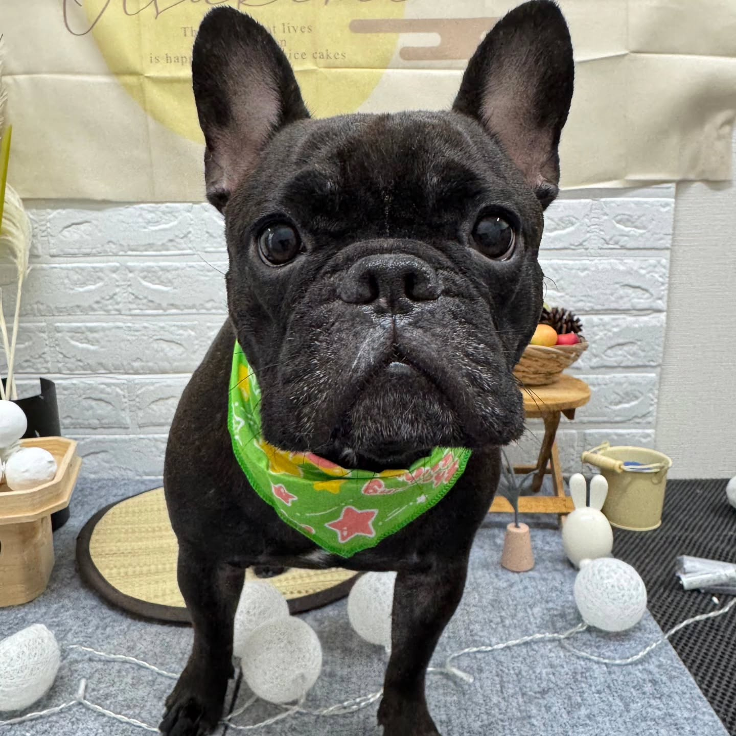 🌝🌝🌝🌝🌝🌝🌝🌝