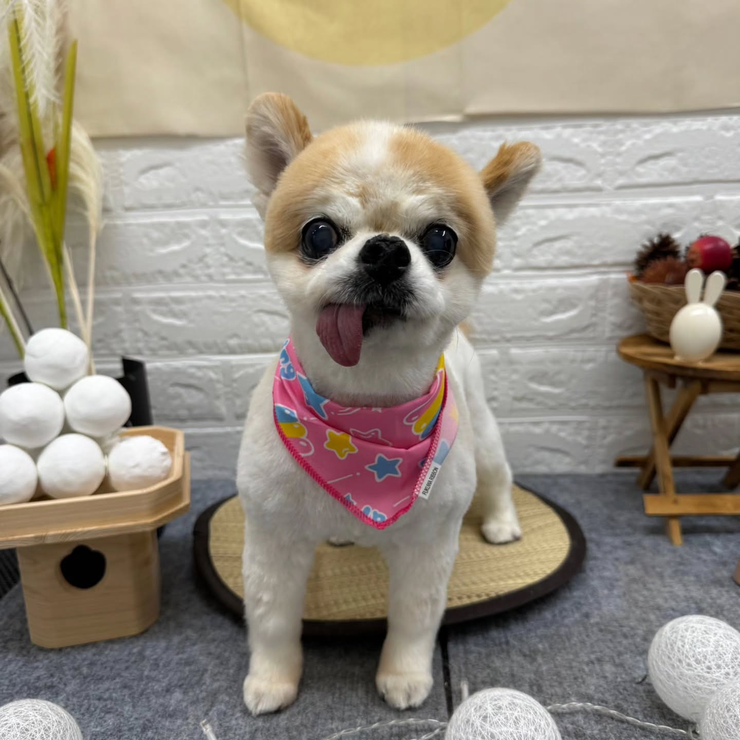 🌝🌝🌝🌝🌝🌝🌝🌝