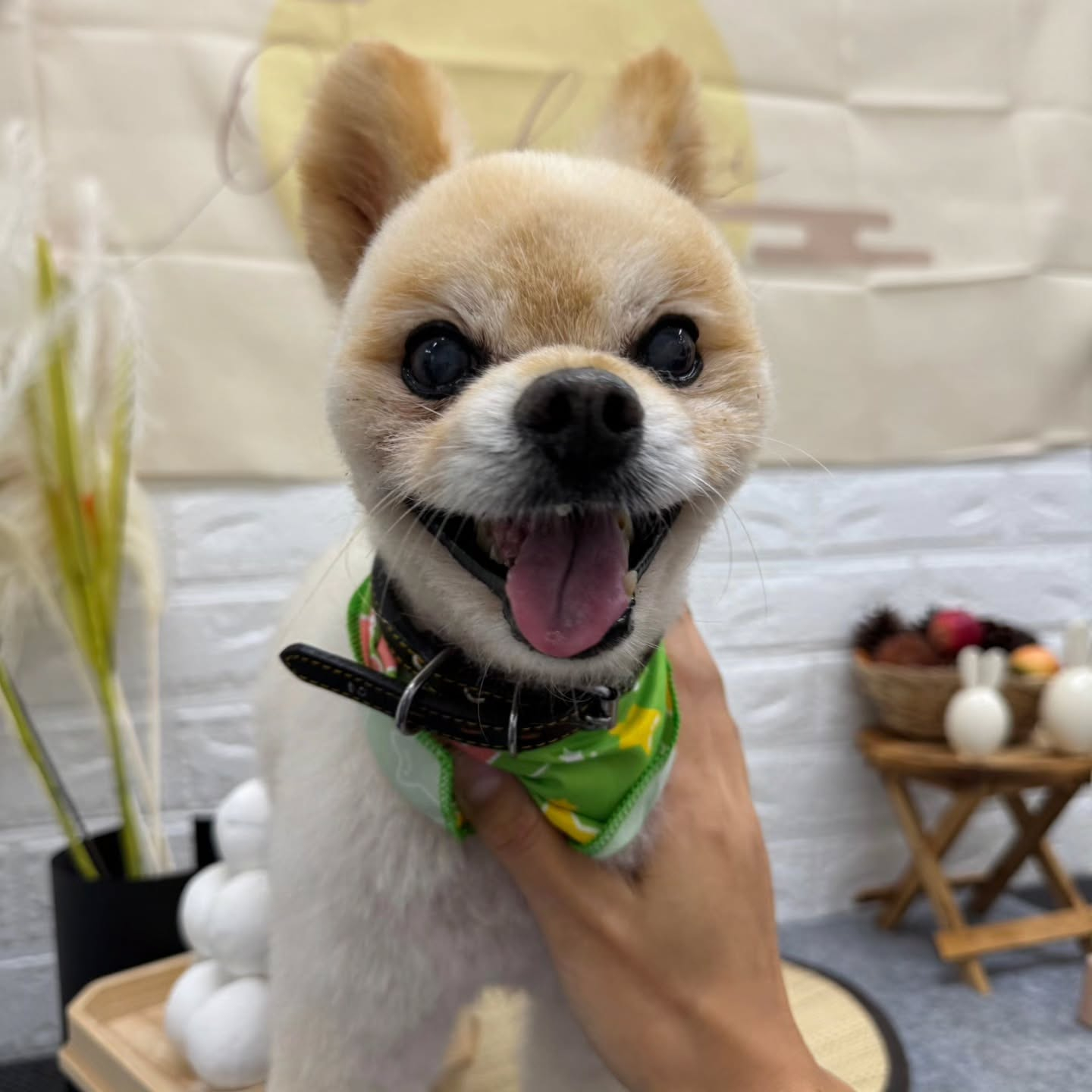 🌝🌝🌝🌝🌝🌝🌝🌝