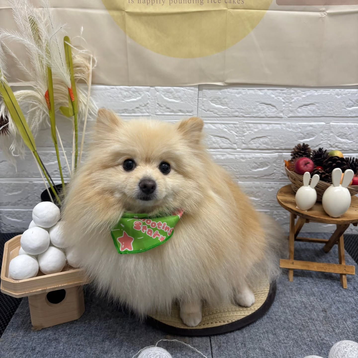 🌝🌝🌝🌝🌝🌝🌝🌝