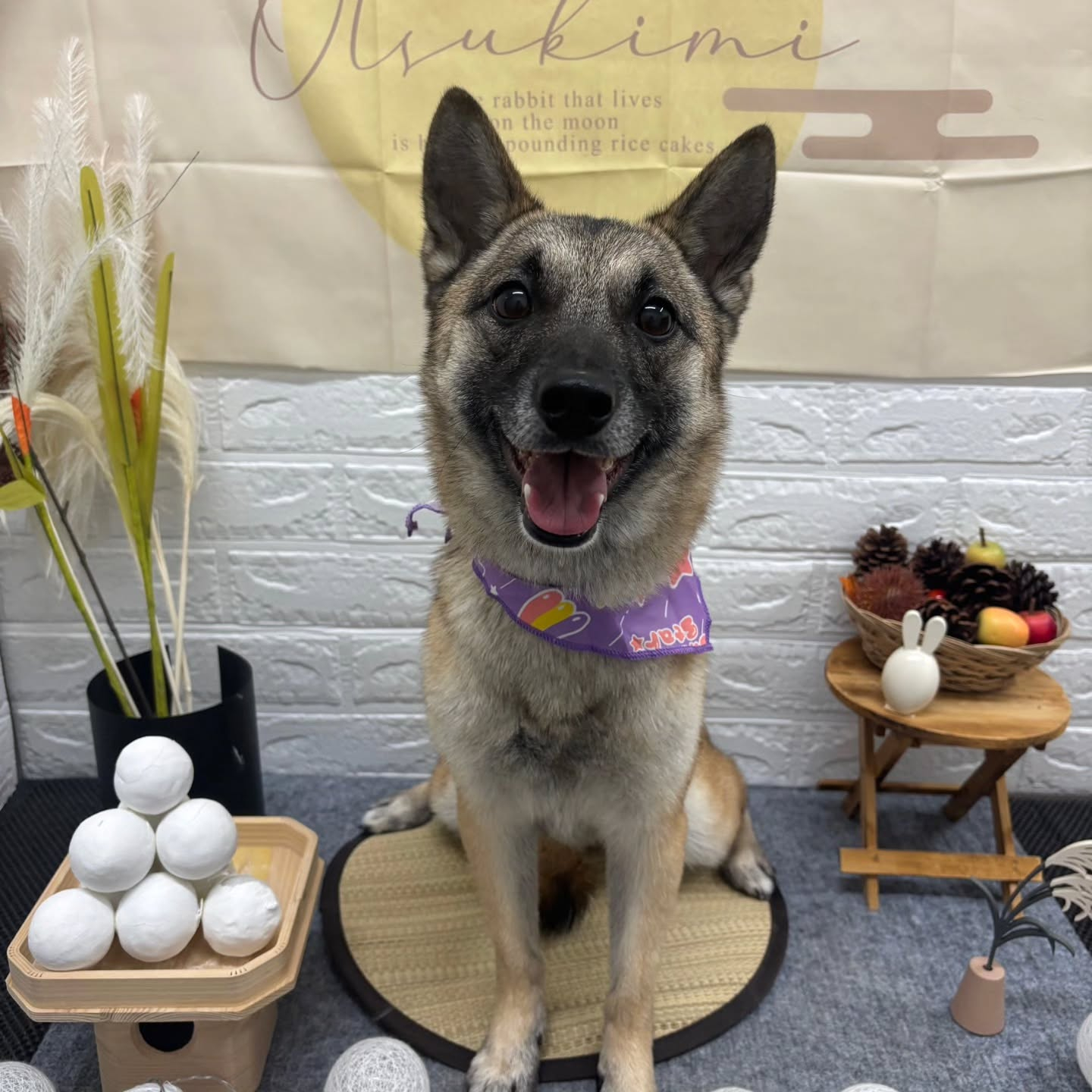 🌝🌝🌝🌝🌝🌝🌝🌝