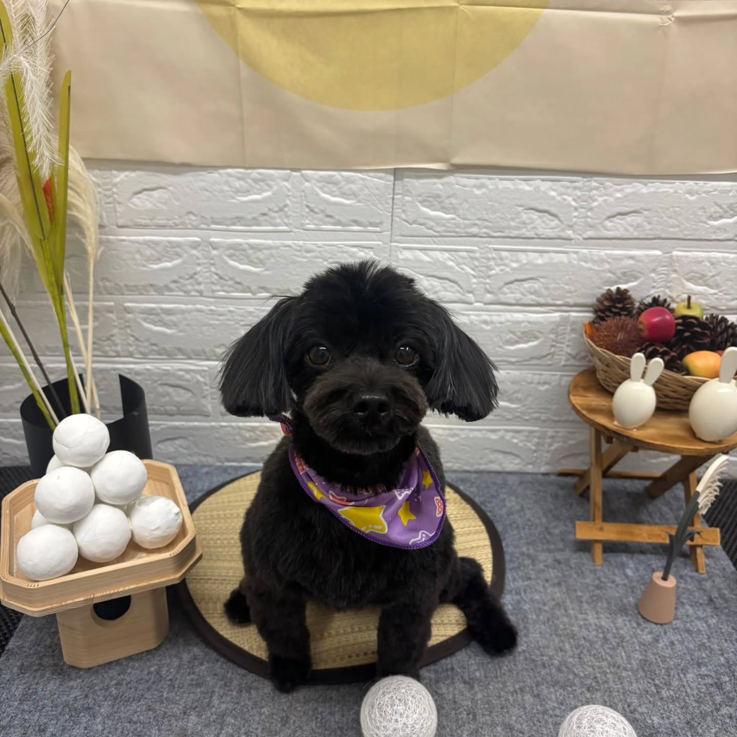 🌝🌝🌝🌝🌝🌝🌝🌝