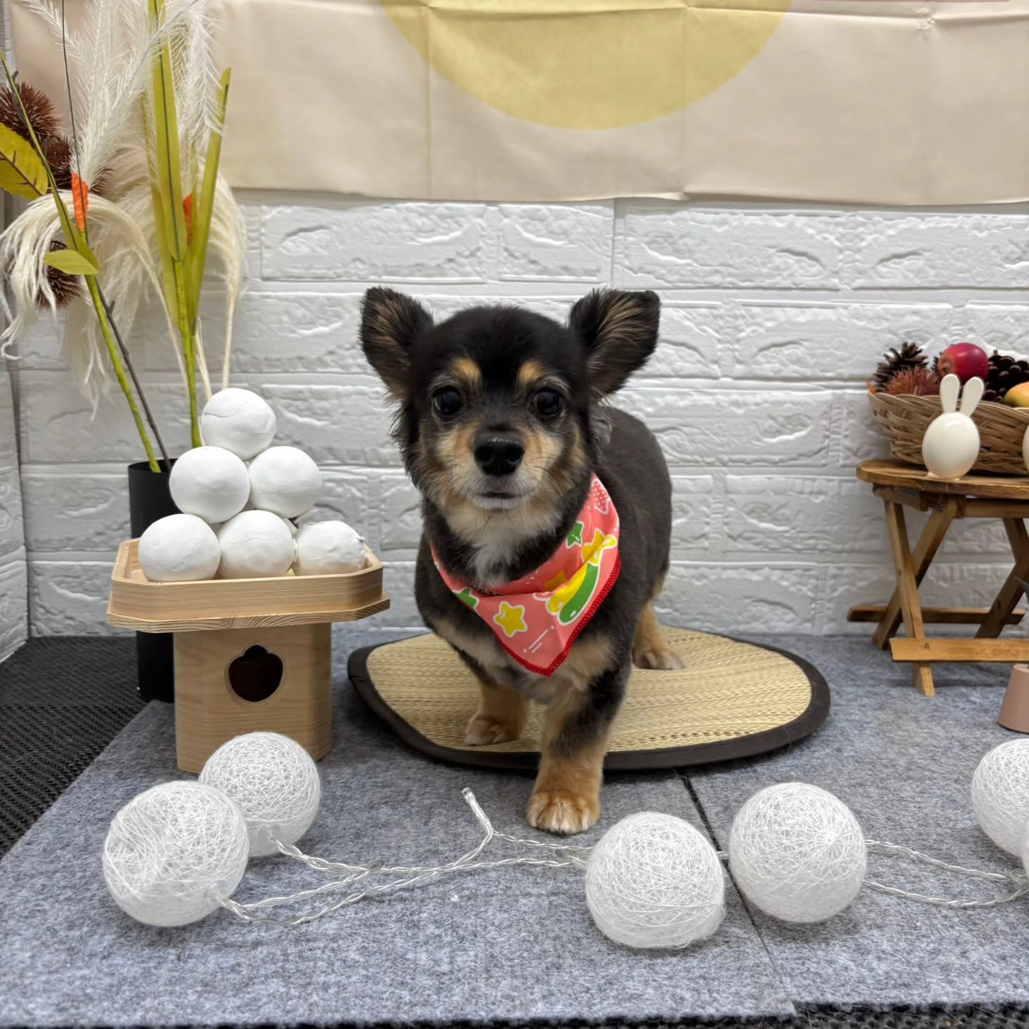 🌝🌝🌝🌝🌝🌝🌝🌝