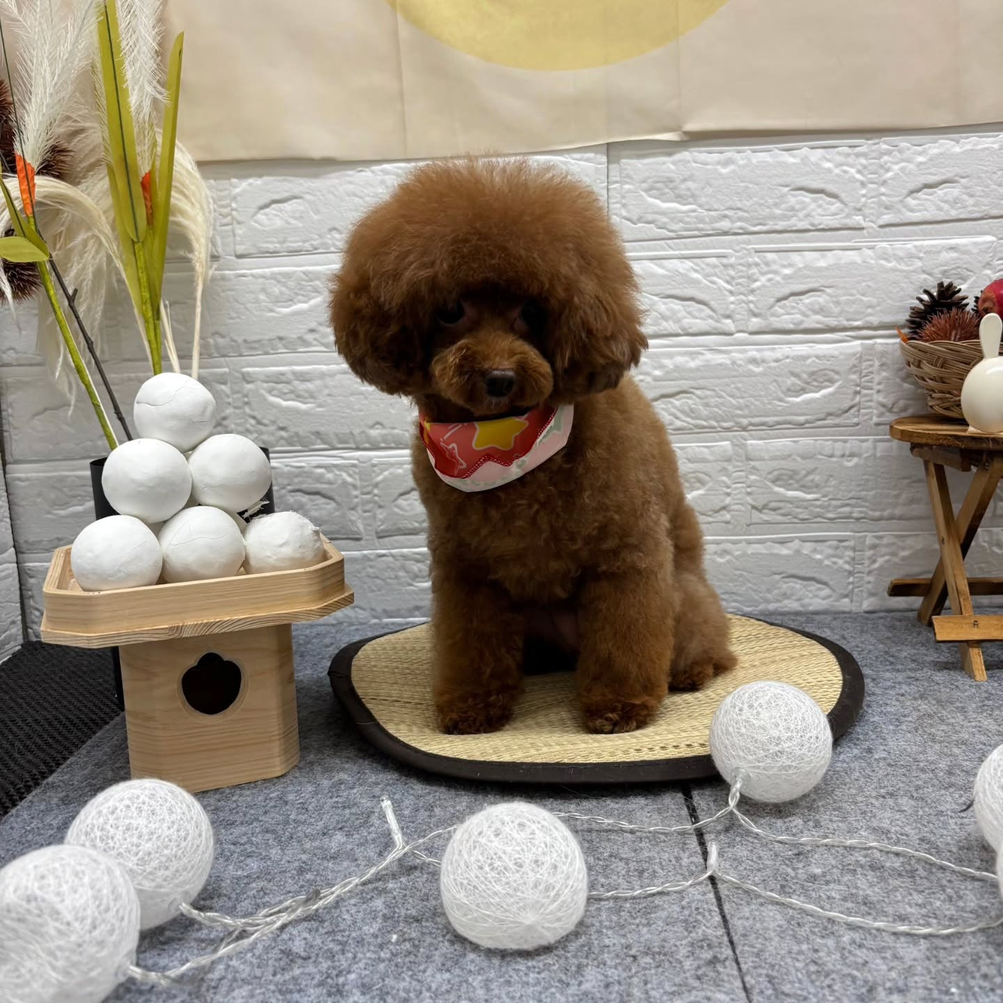 🌝🌝🌝🌝🌝🌝🌝🌝