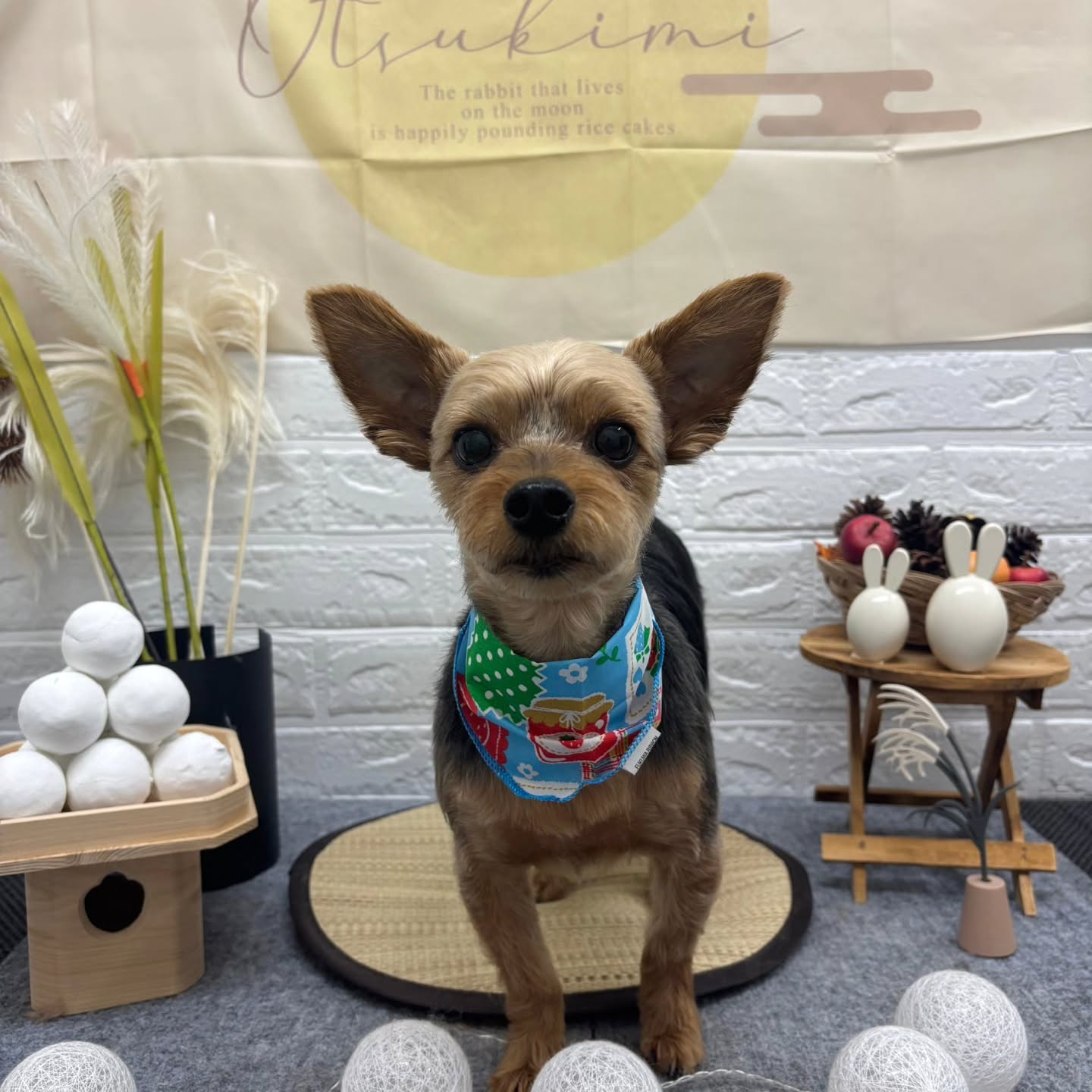 🌝🌝🌝🌝🌝🌝🌝🌝