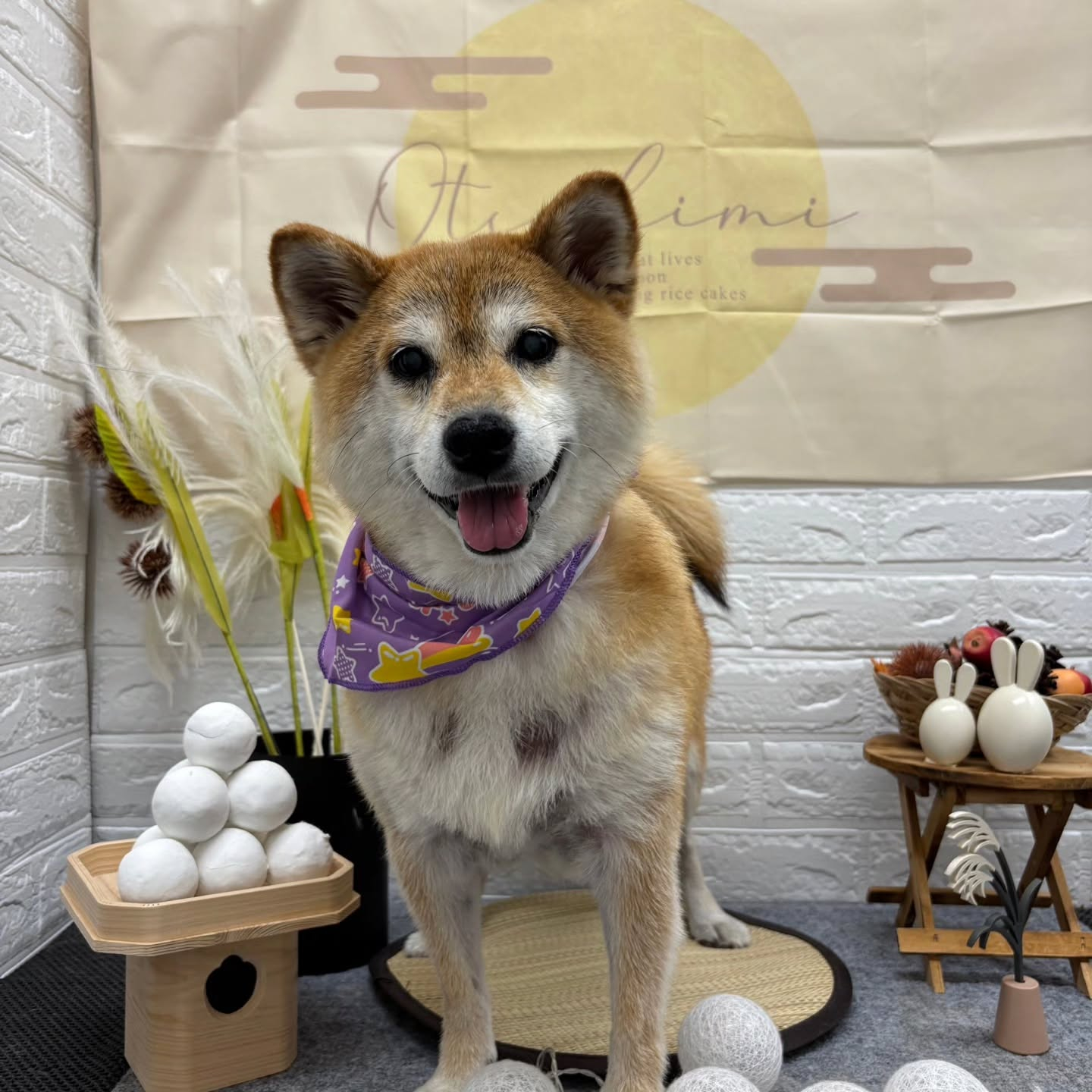 🌝🌝🌝🌝🌝🌝🌝🌝