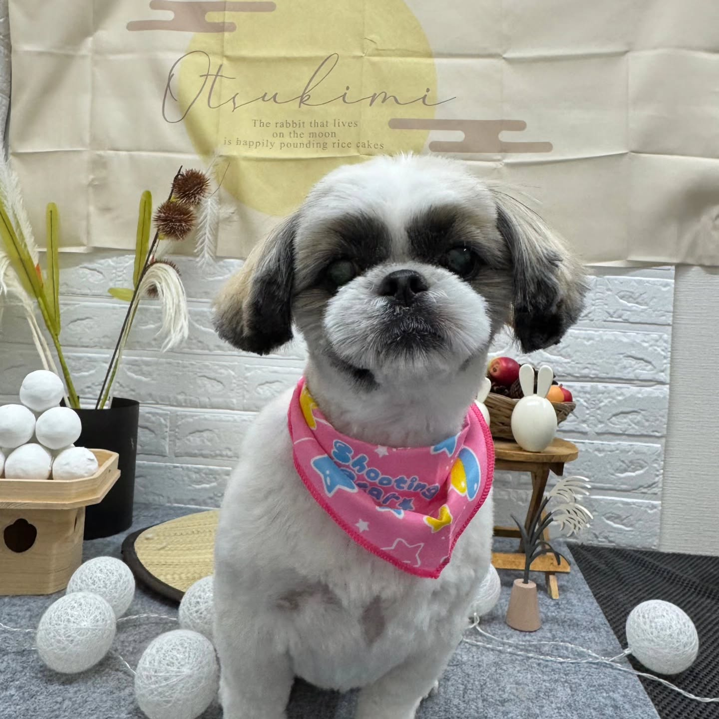 🌝🌝🌝🌝🌝🌝🌝🌝