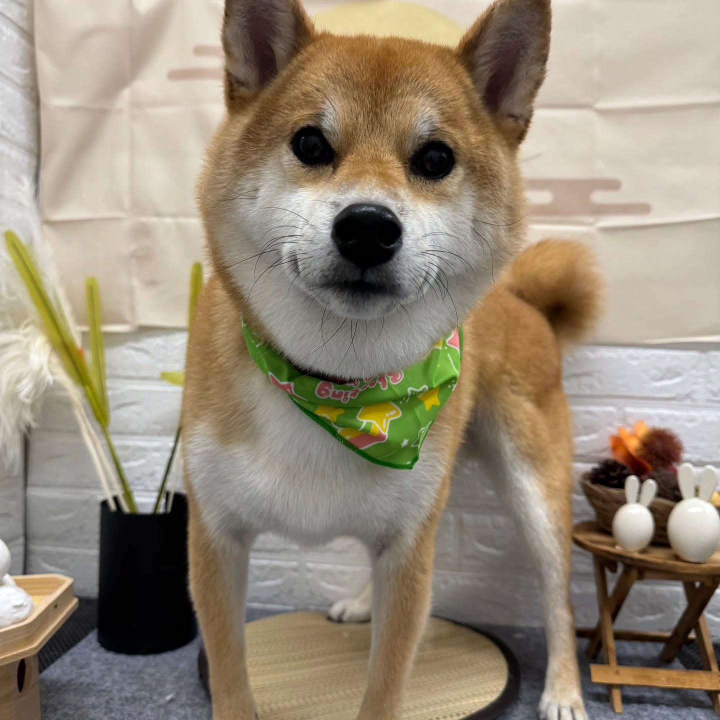 🌝🌝🌝🌝🌝🌝🌝🌝