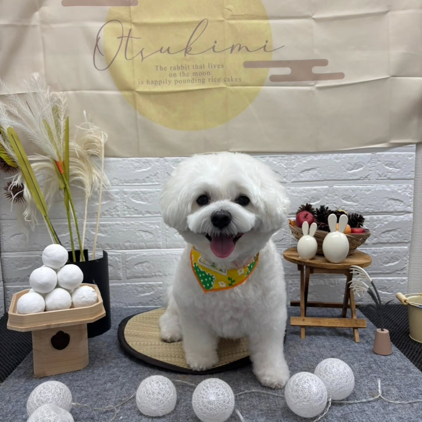 🌝🌝🌝🌝🌝🌝🌝🌝