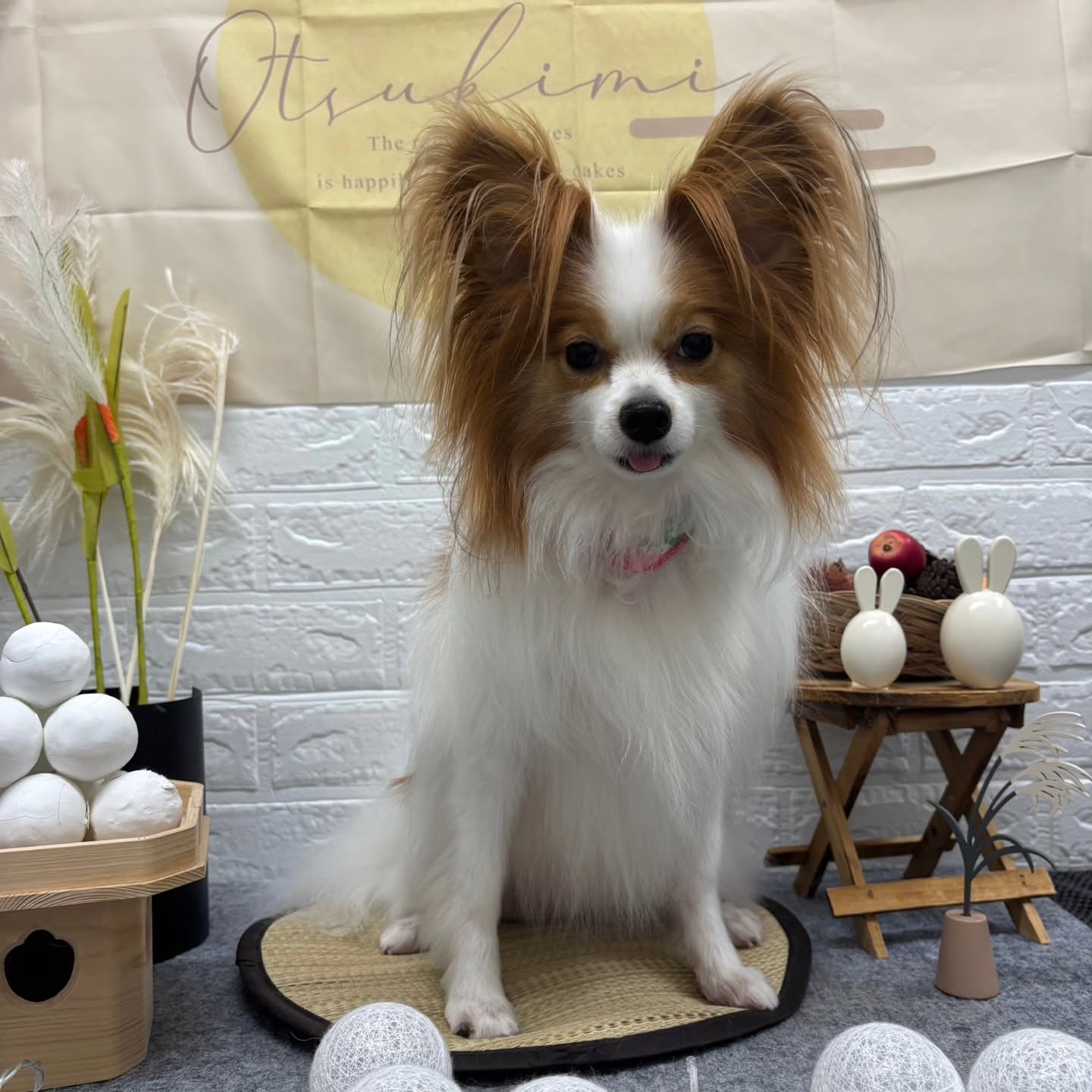 🌝🌝🌝🌝🌝🌝🌝🌝