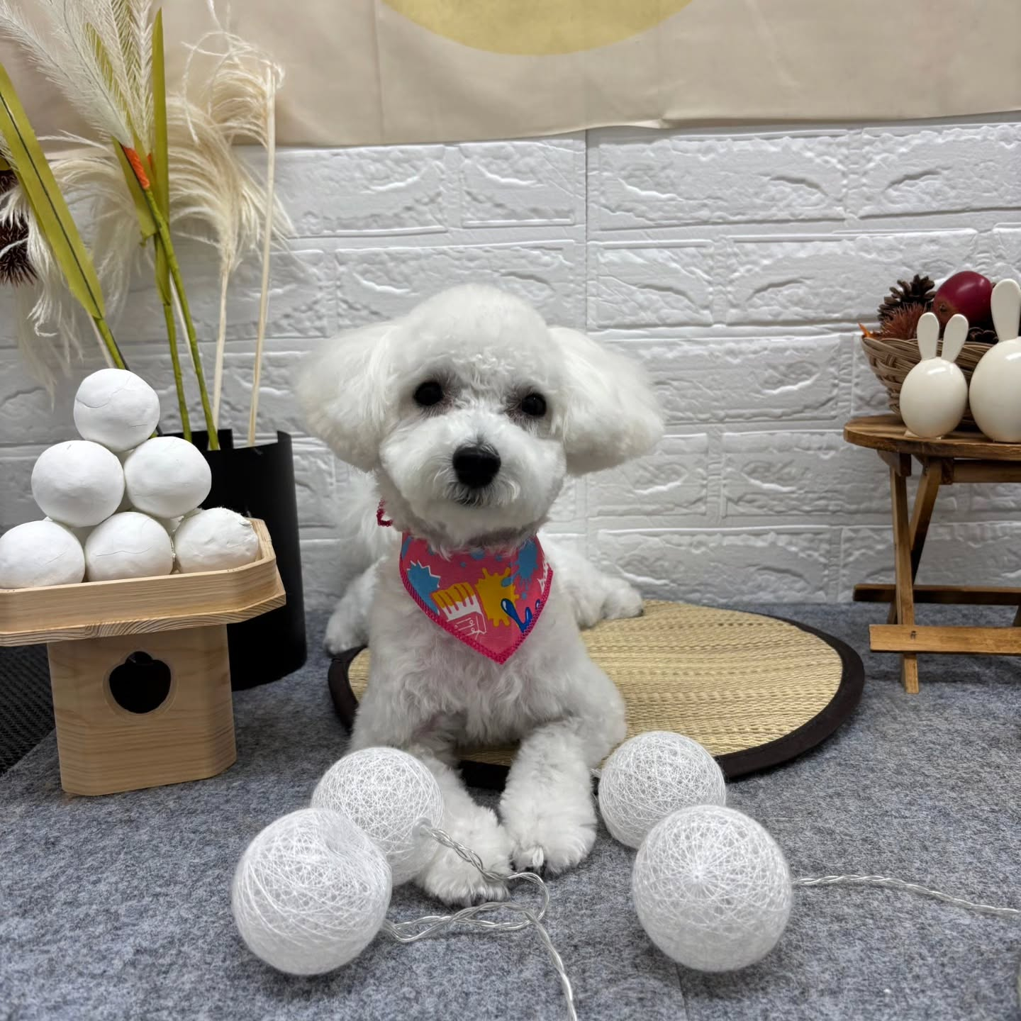 🌝🌝🌝🌝🌝🌝🌝🌝