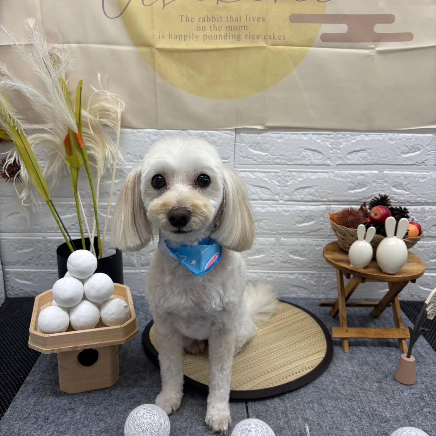 🌝🌝🌝🌝🌝🌝🌝🌝