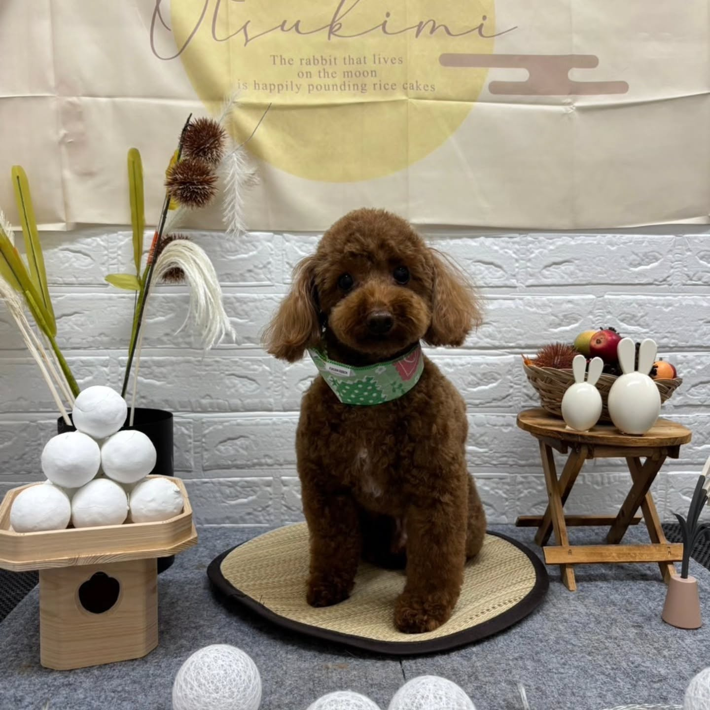 🌝🌝🌝🌝🌝🌝🌝🌝