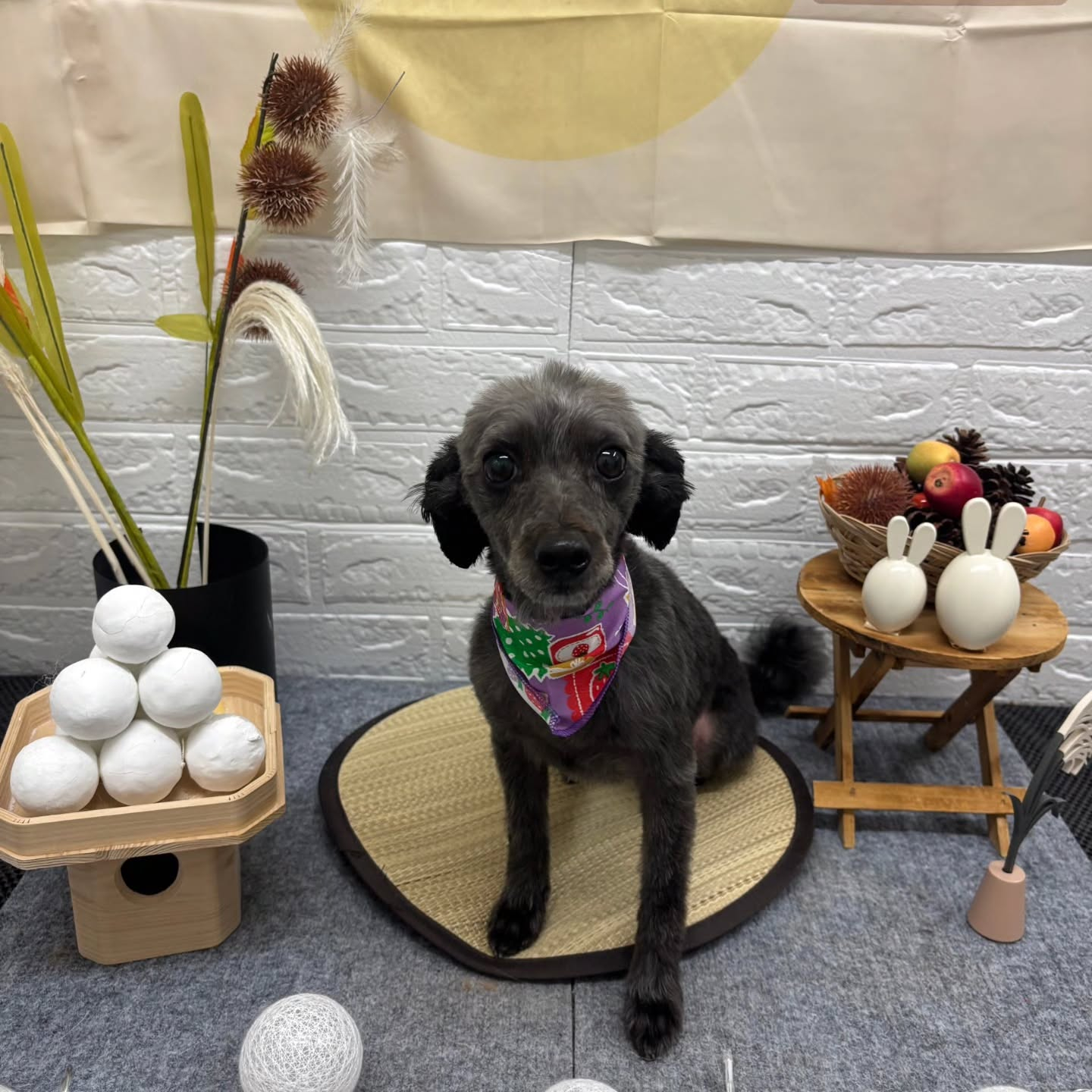 🌝🌝🌝🌝🌝🌝🌝🌝