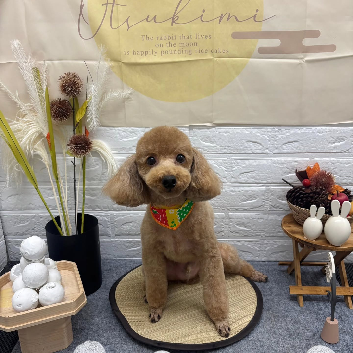 🌝🌝🌝🌝🌝🌝🌝🌝