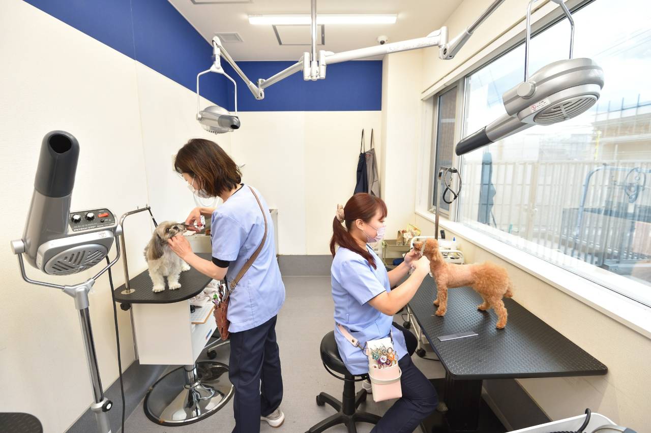 体質や体調も把握した上でお手入れ