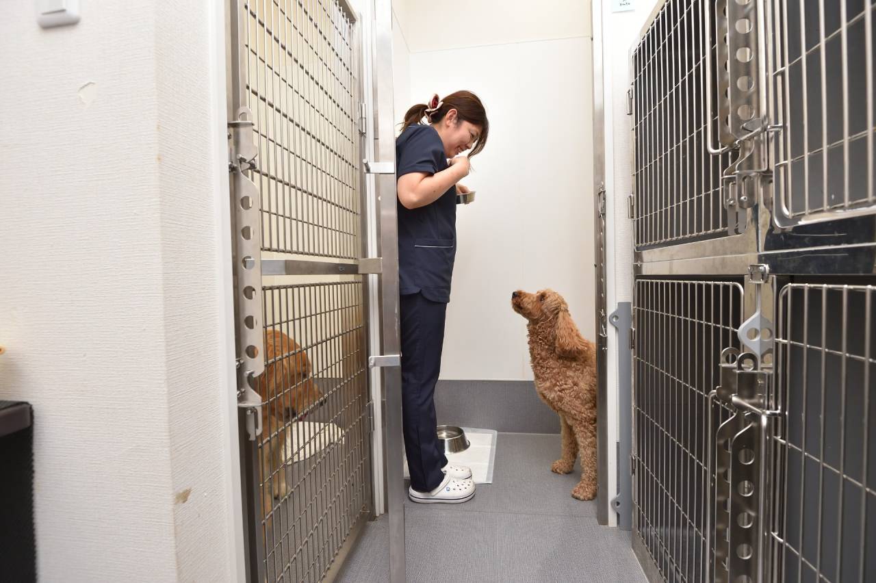 ペットにとって快適な環境づくりに尽力