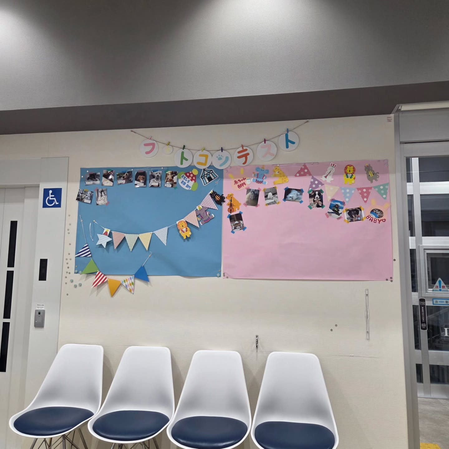 🌝🌝🌝🌝🌝🌝🌝🌝