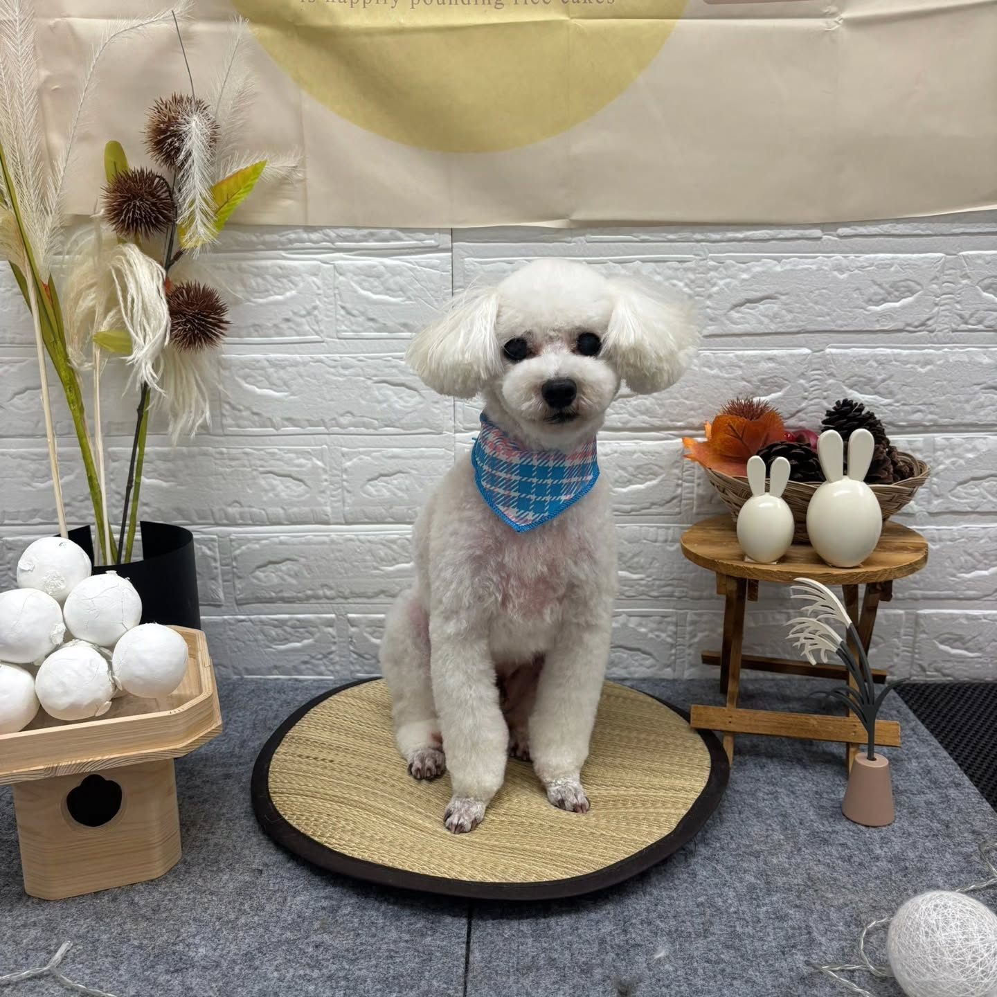 🌝🌝🌝🌝🌝🌝🌝🌝