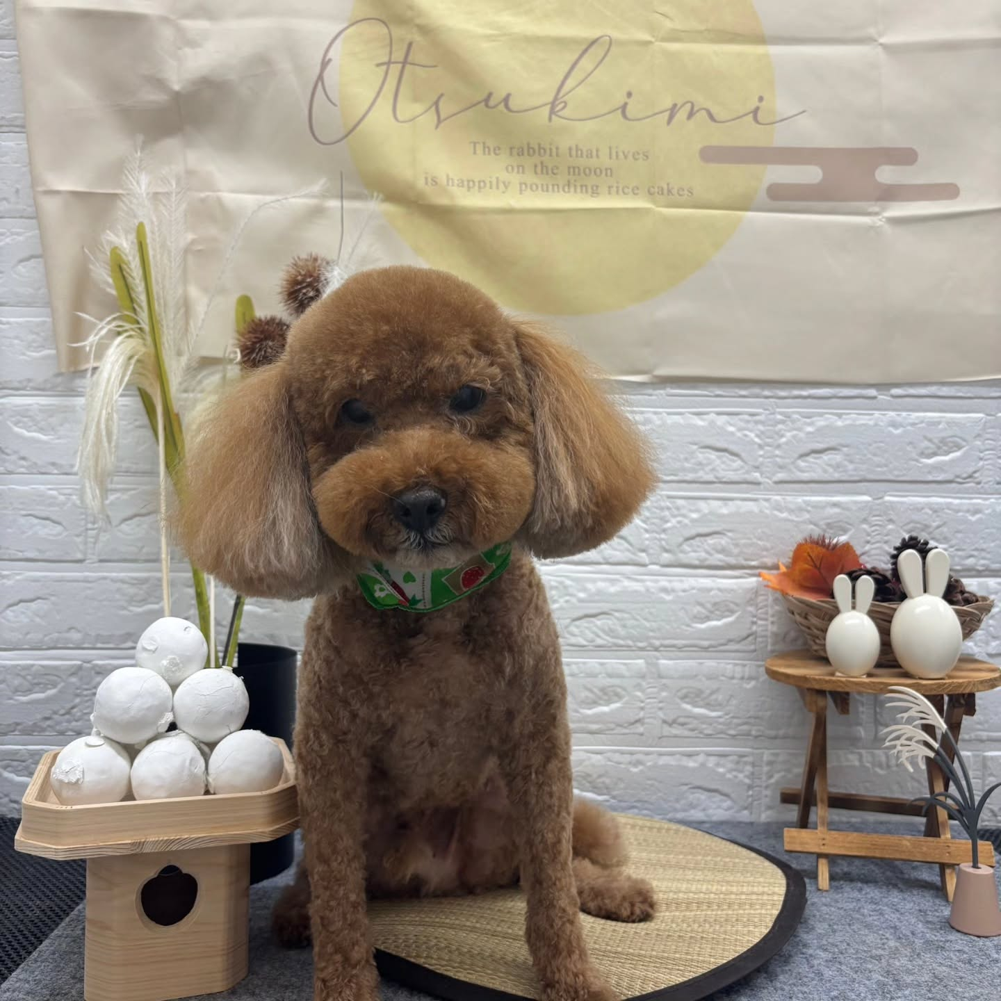 🌝🌝🌝🌝🌝🌝🌝🌝