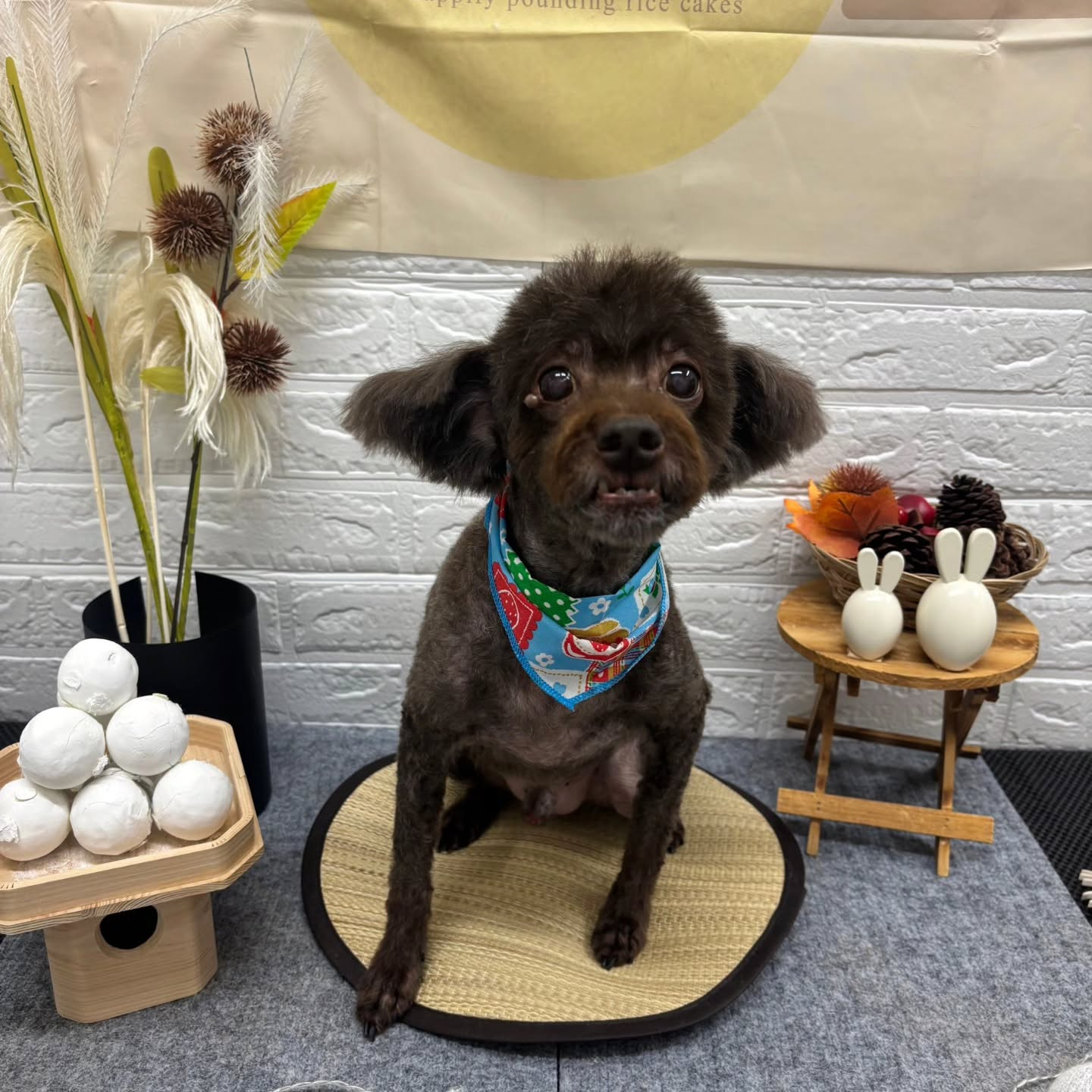 🌝🌝🌝🌝🌝🌝🌝🌝