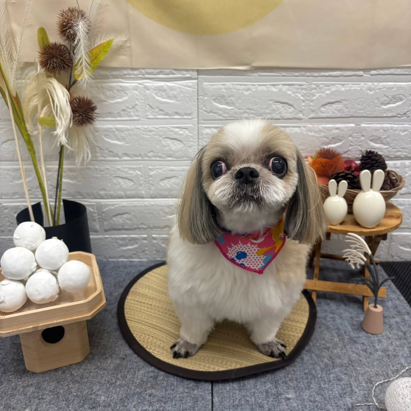 🌝🌝🌝🌝🌝🌝🌝🌝