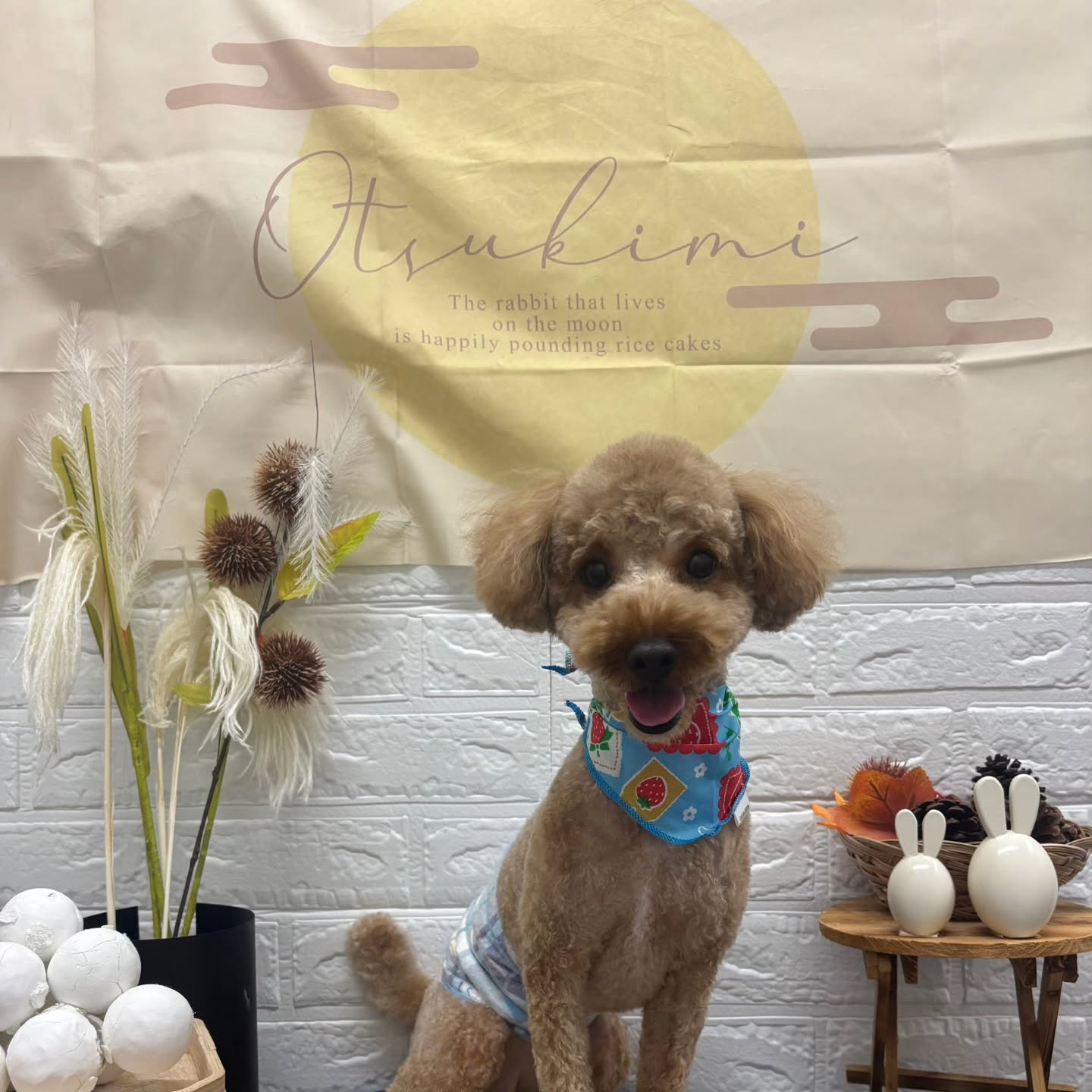 🌝🌝🌝🌝🌝🌝🌝🌝