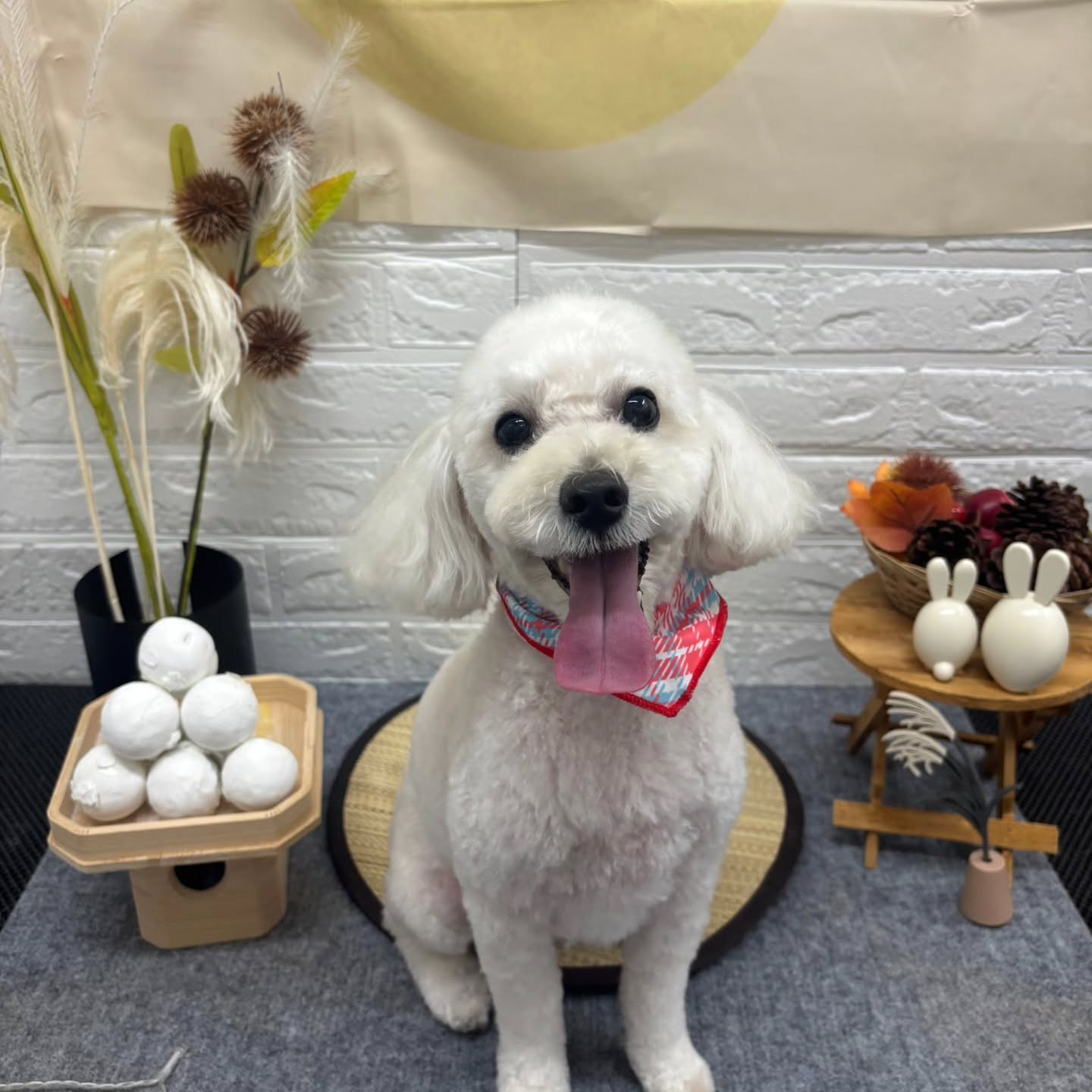 🌝🌝🌝🌝🌝🌝🌝🌝