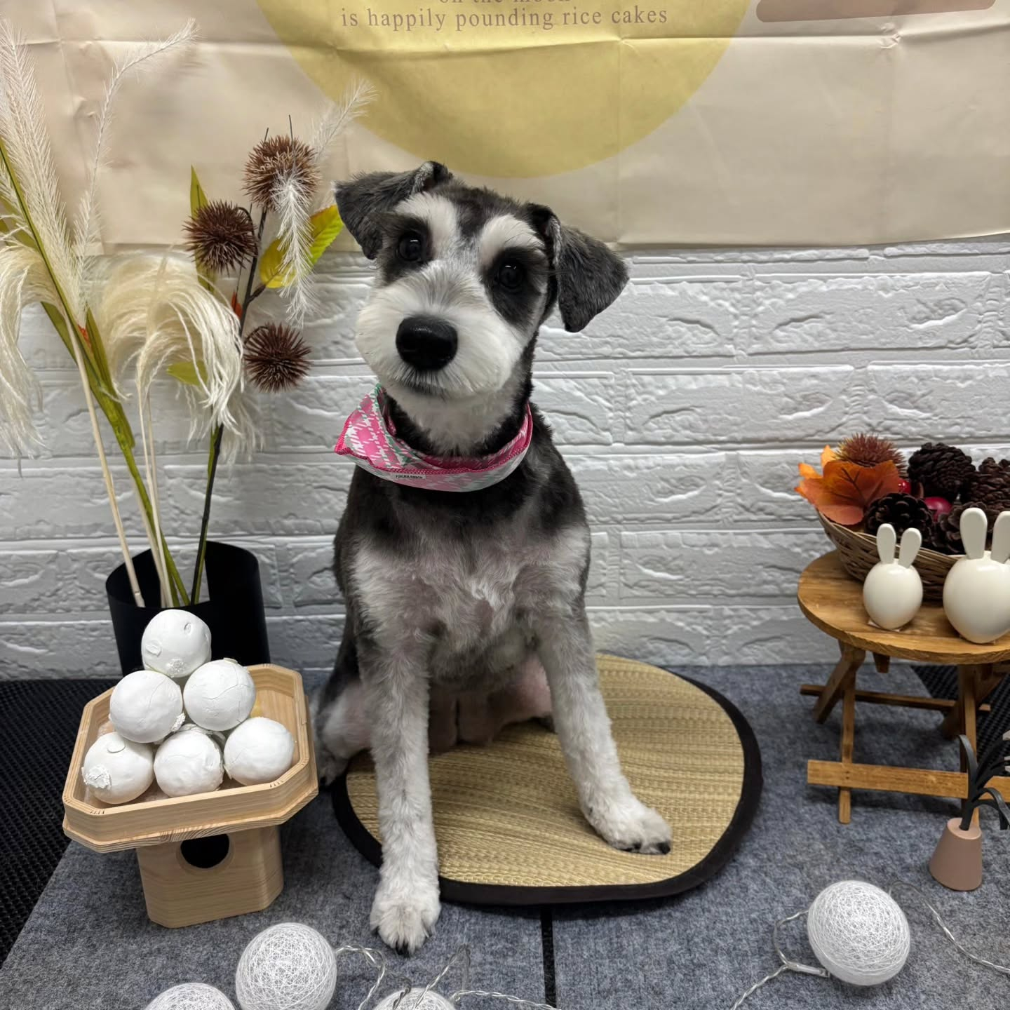 🌝🌝🌝🌝🌝🌝🌝🌝