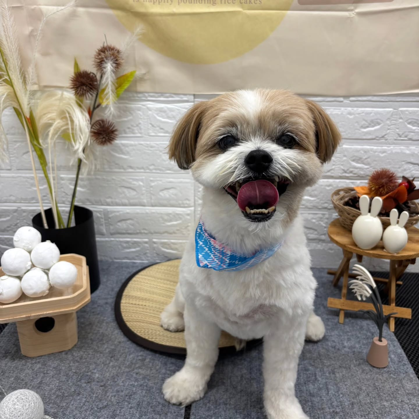 ๐๐๐๐๐๐๐๐