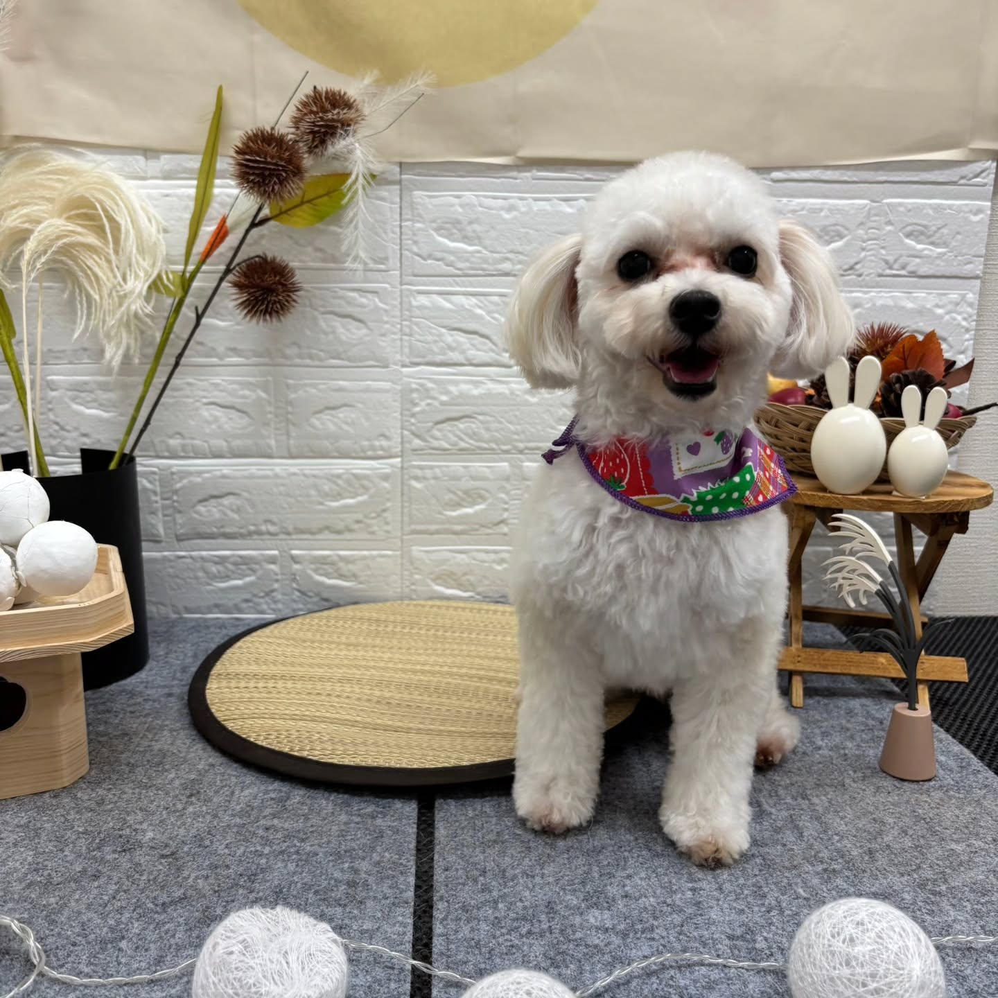 ๐๐๐๐๐๐๐๐