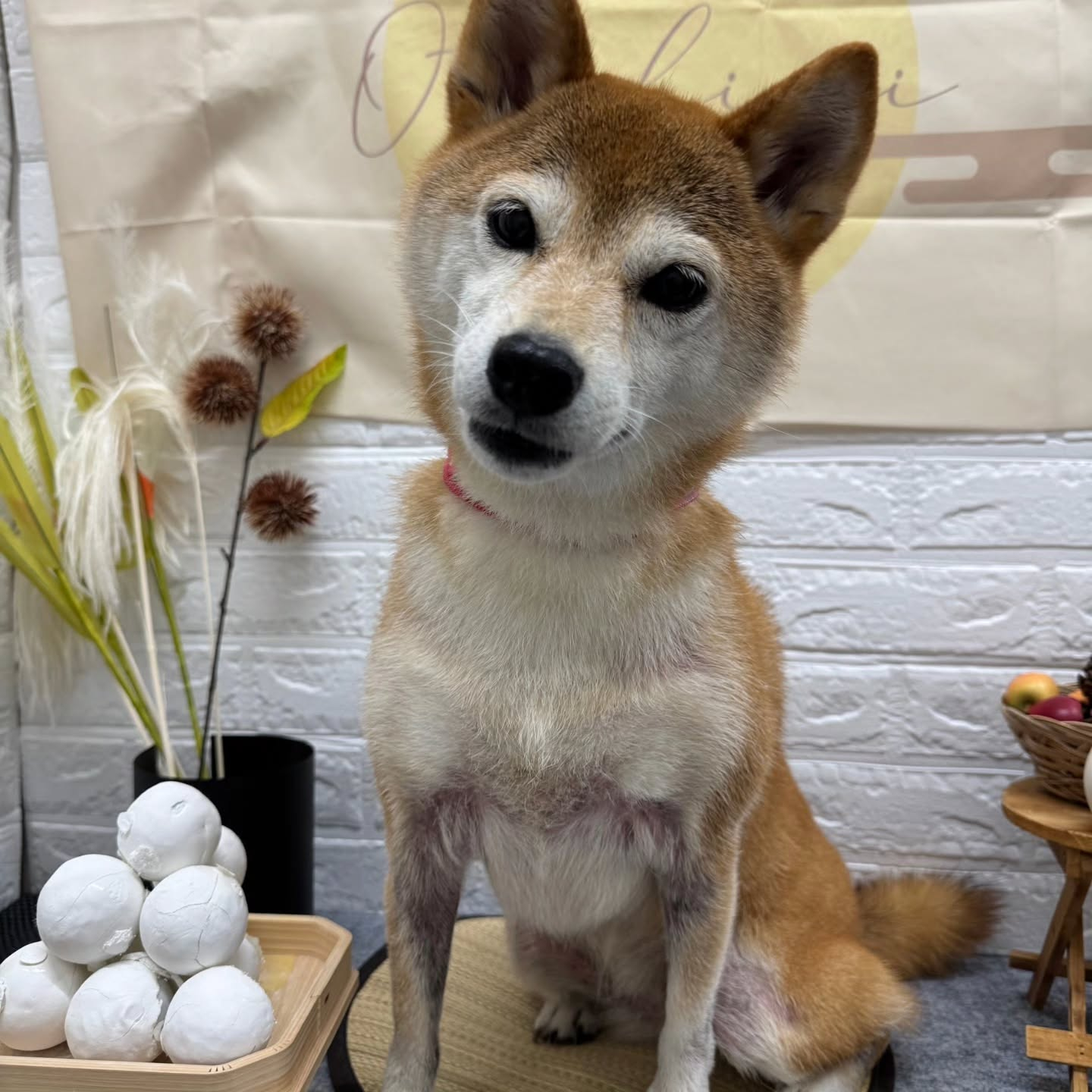 ๐๐๐๐๐๐๐๐